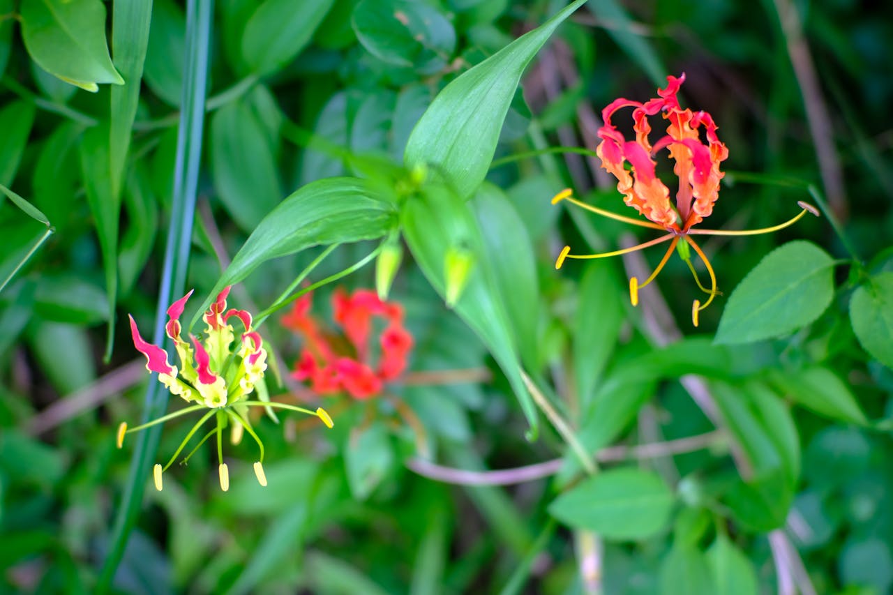 Thám tử lừng danh Conan | Chương 0413