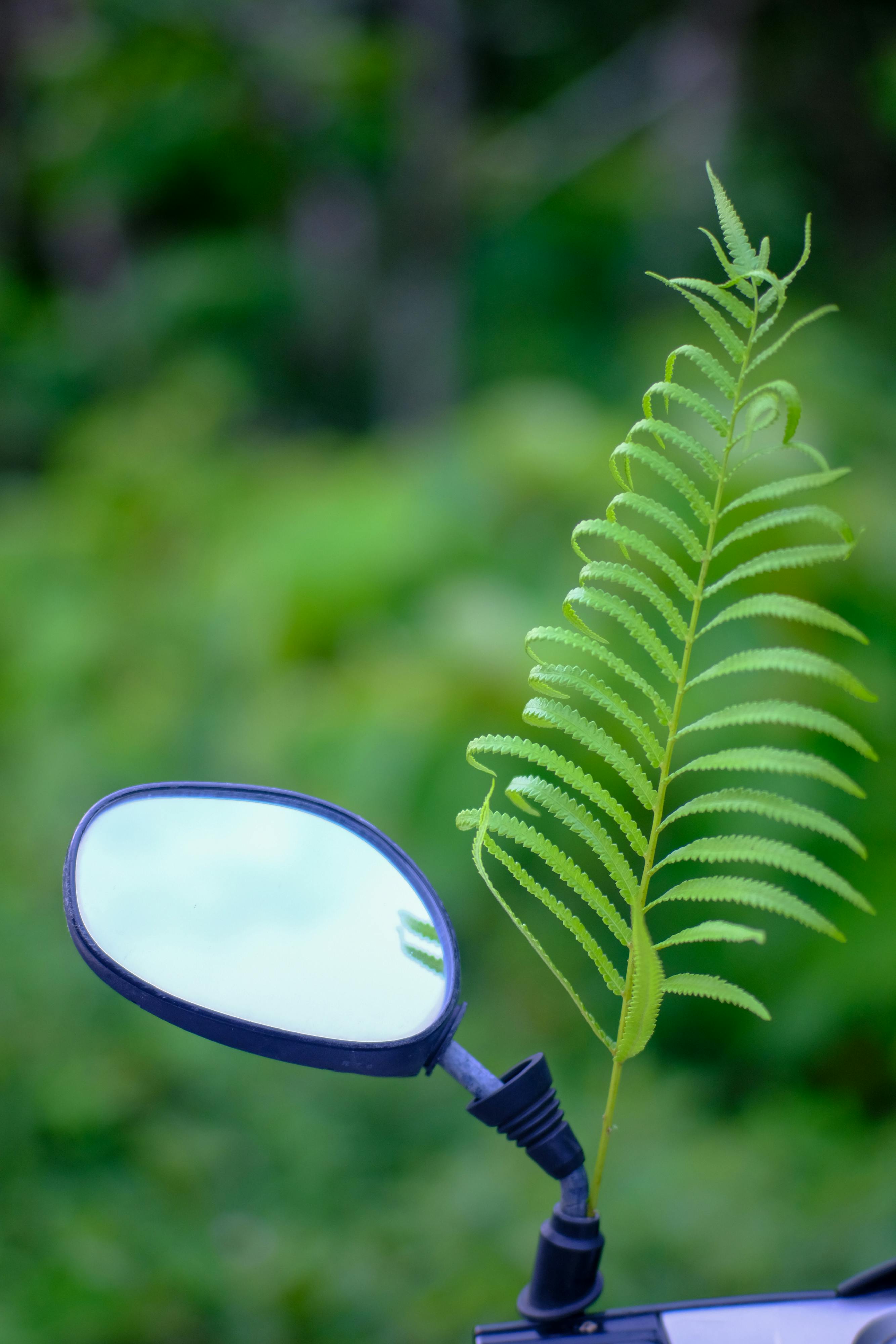 Trung tâm nghiên cứu văn học, phát triển nhà văn Việt Nam