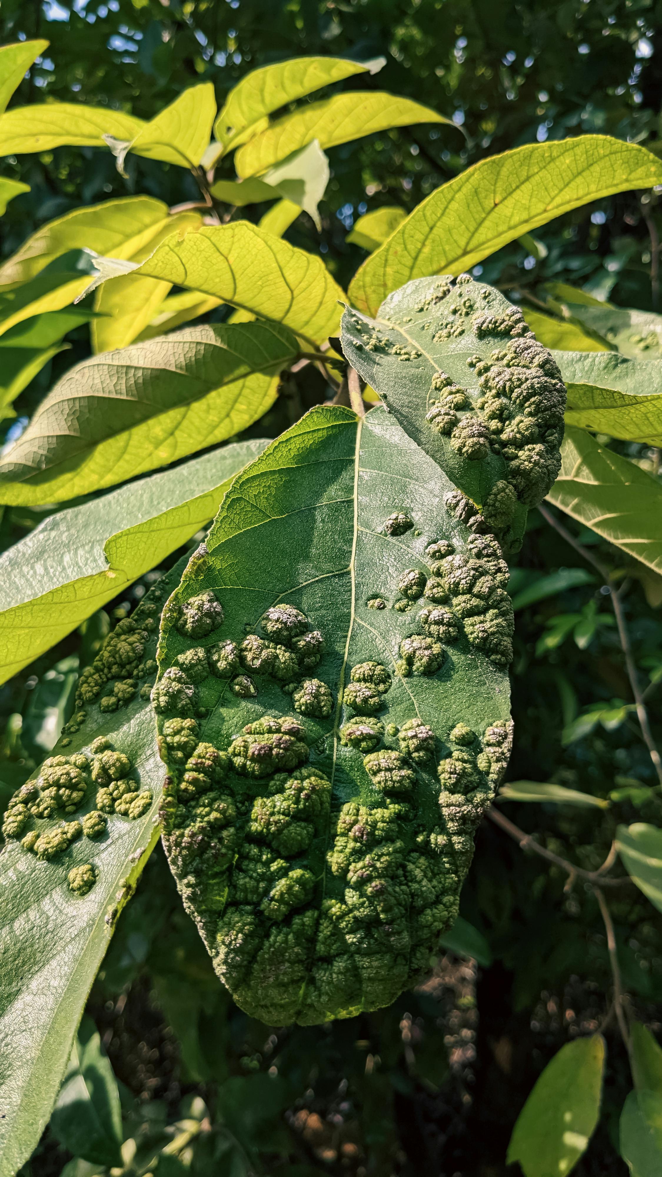Trung tâm nghiên cứu văn học, phát triển nhà văn Việt Nam