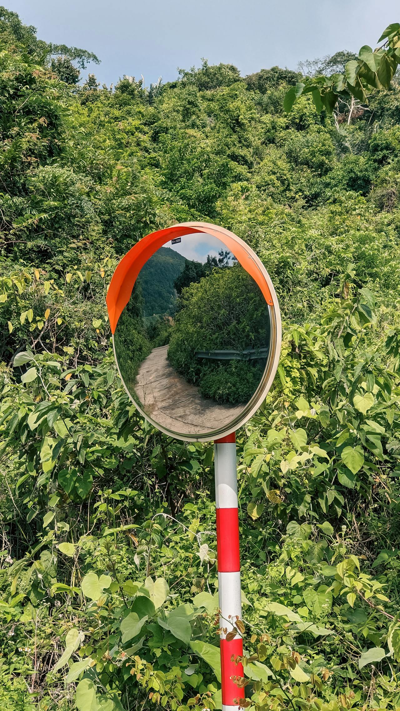 Diễn từ Nobel Văn học 2006 – Về việc không giành được giải Nobel, Doris Lessing