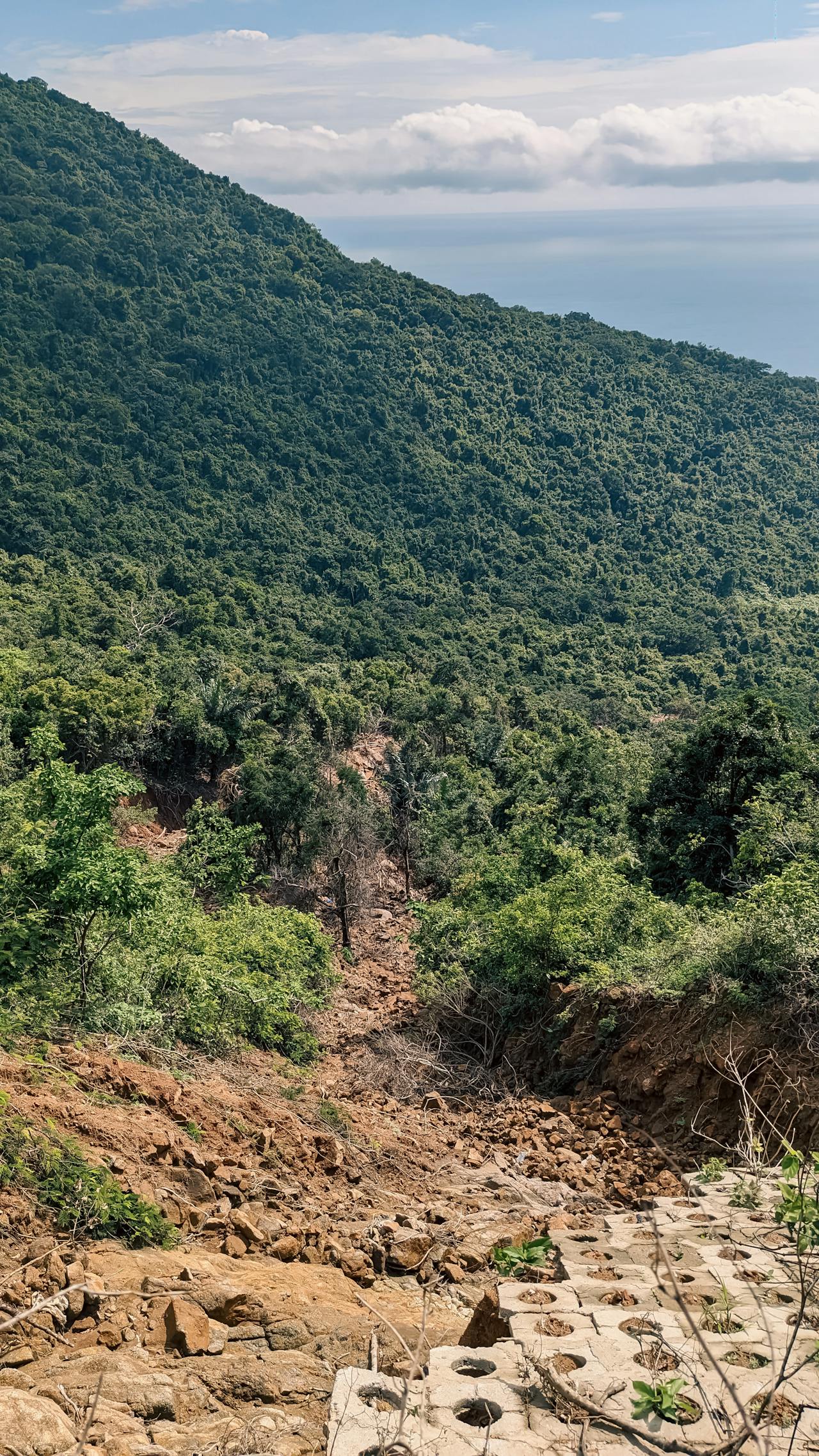 Thu hứng kỳ 3 (秋興其三)