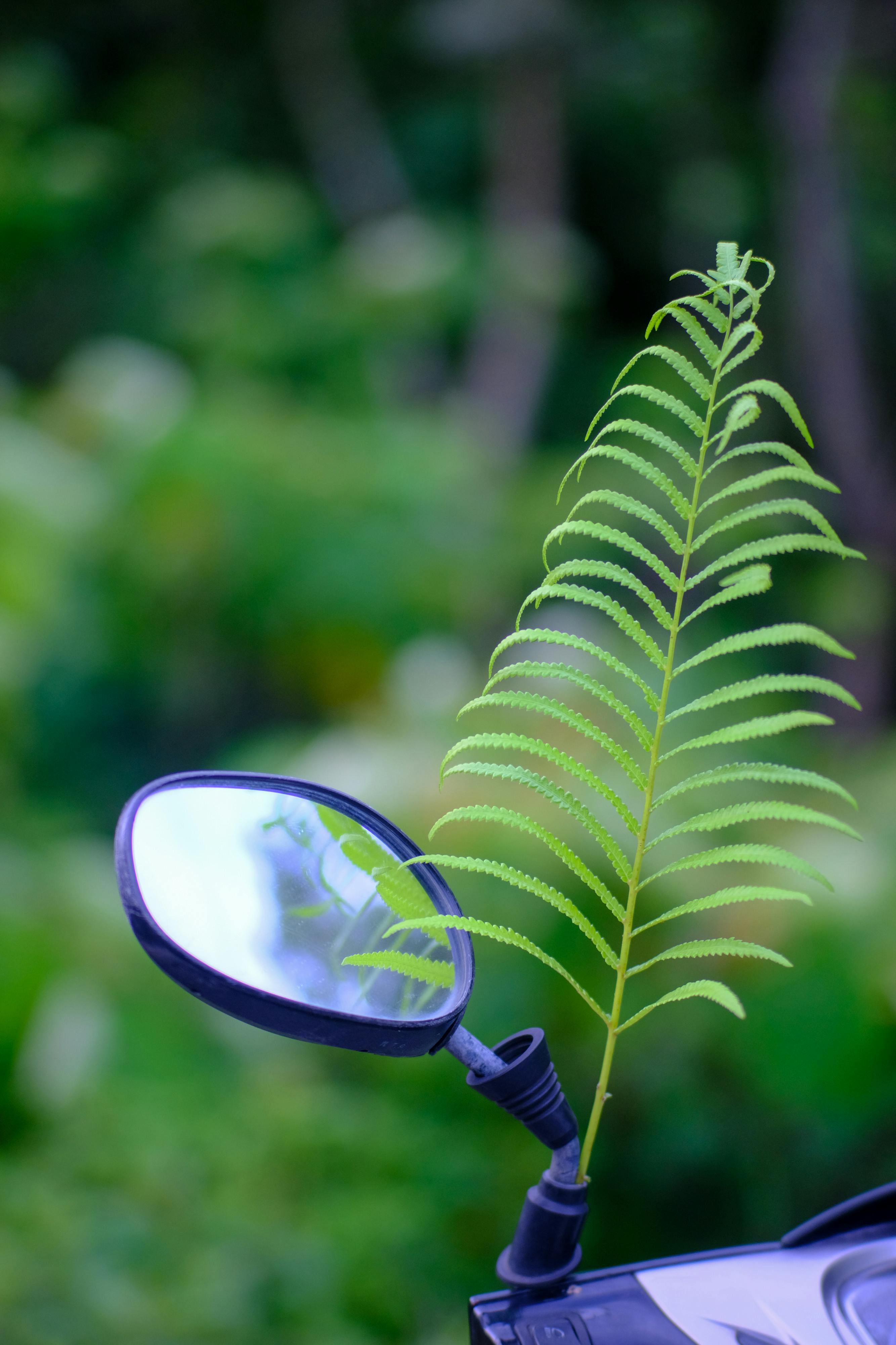 Đường xưa mây trắng | Chương 36 495 – thu vien, van hoc, van hoc viet nam, doan van, ton giao, phat giao, thien van, thuc hanh ton giao, thich nhat hanh, duong xua may trang, duong xua may trang chuong 37, duong xua may trang 37.