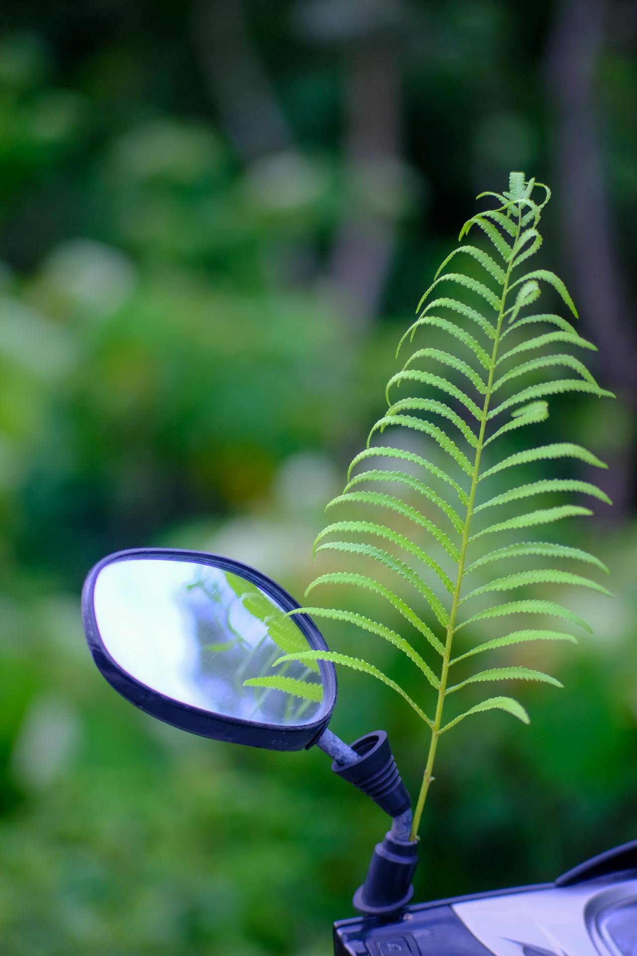 Chim lửa | Chương 28