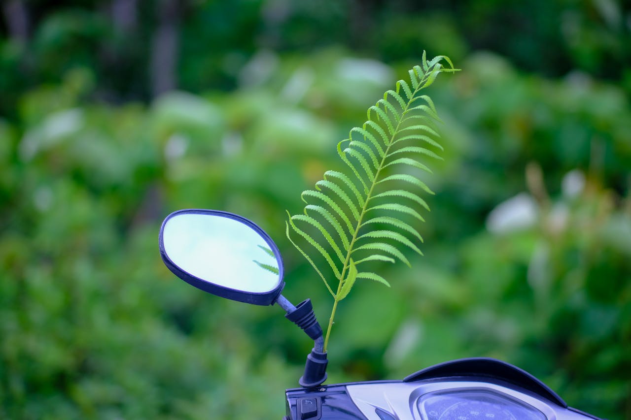 Thám tử lừng danh Conan | Chương 0799