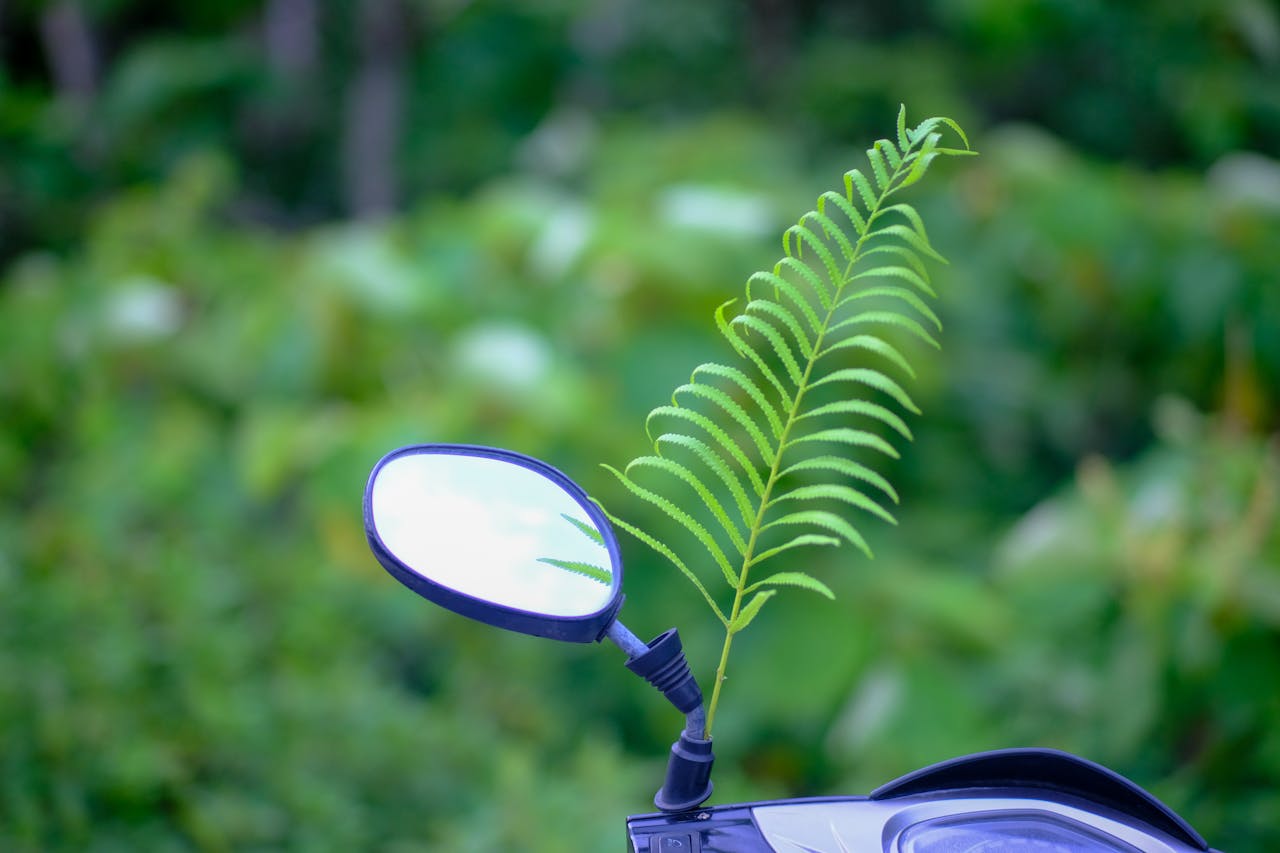 Thám tử lừng danh Conan | Chương 0271