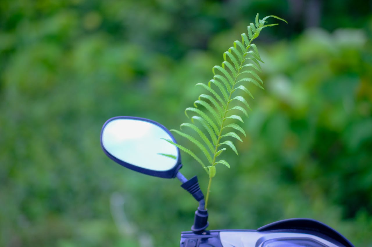 Thám tử lừng danh Conan | Chương 0648