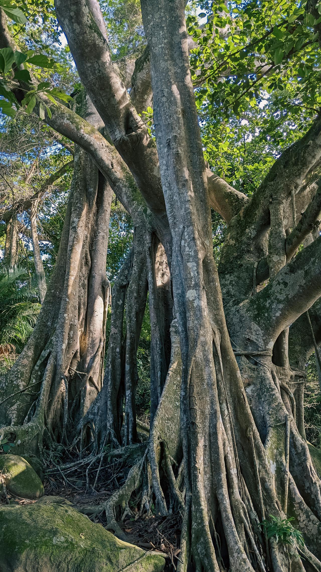 Sợ hãi | Chương 08