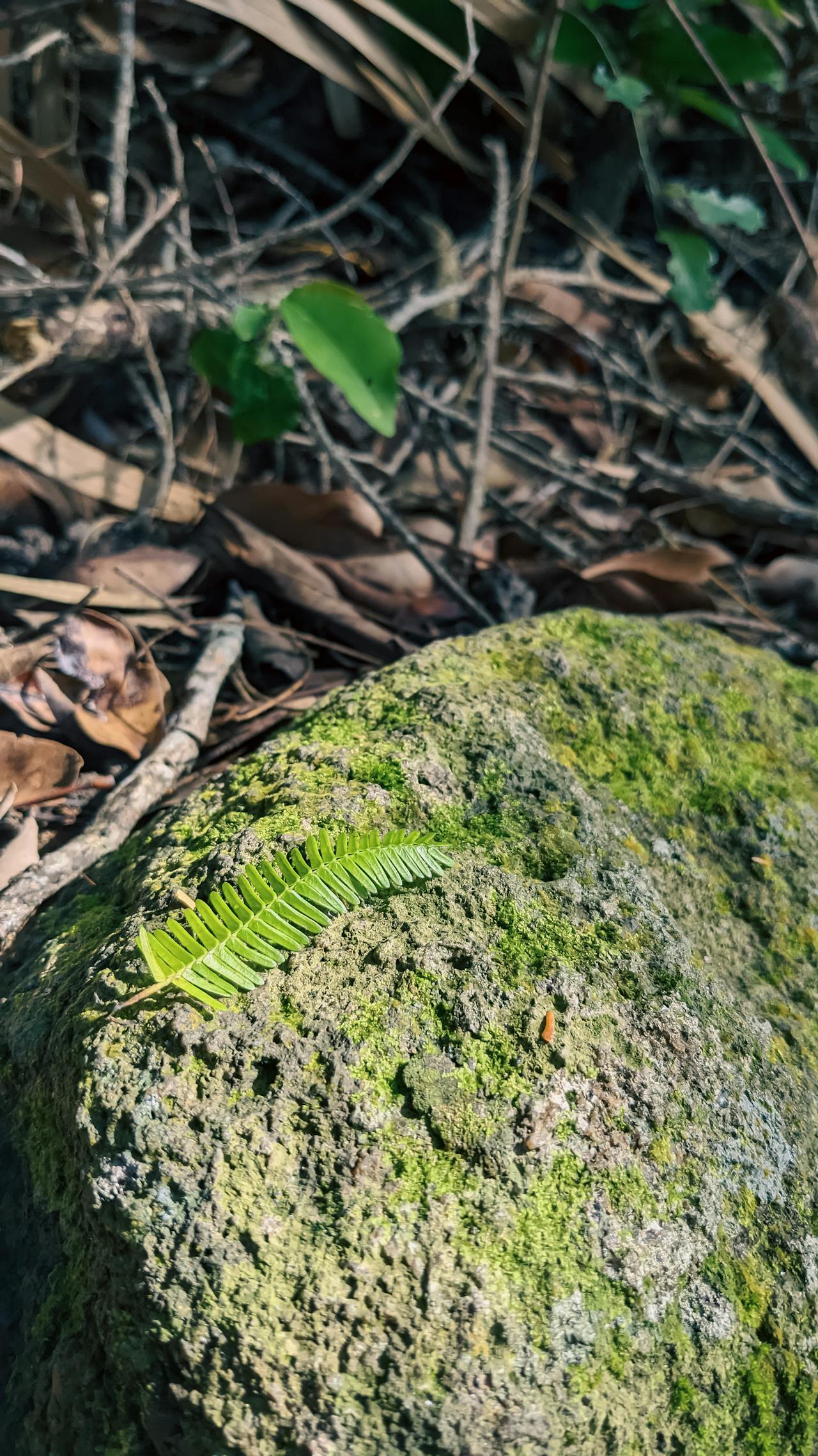 Sợ hãi | Chương 11