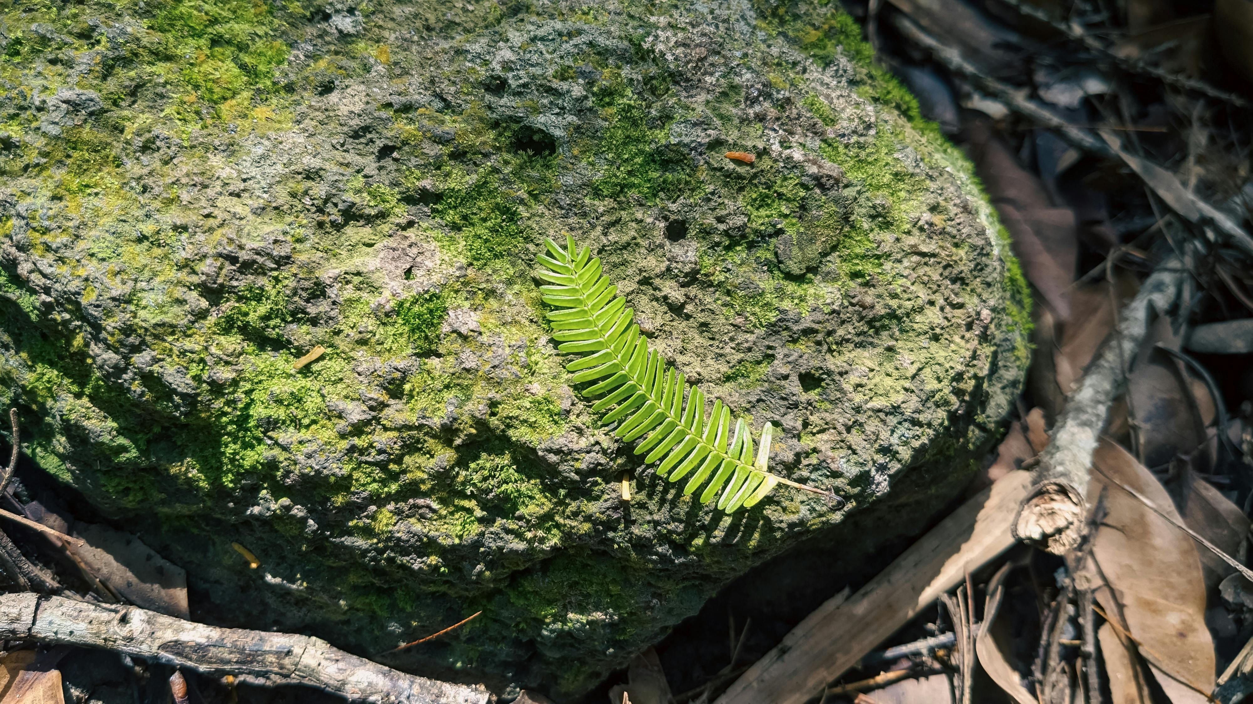 Tiểu sử nhà văn Nguyễn Huy Thiệp Tiểu sử nhà văn Nguyễn Huy Thiệp 550 – thu vien, van hoc, van hoc viet nam, tho ca, nguyen huy thiep, tieu su tac gia, tieu su nha van, nha van, nha van nguyen huy thiep.