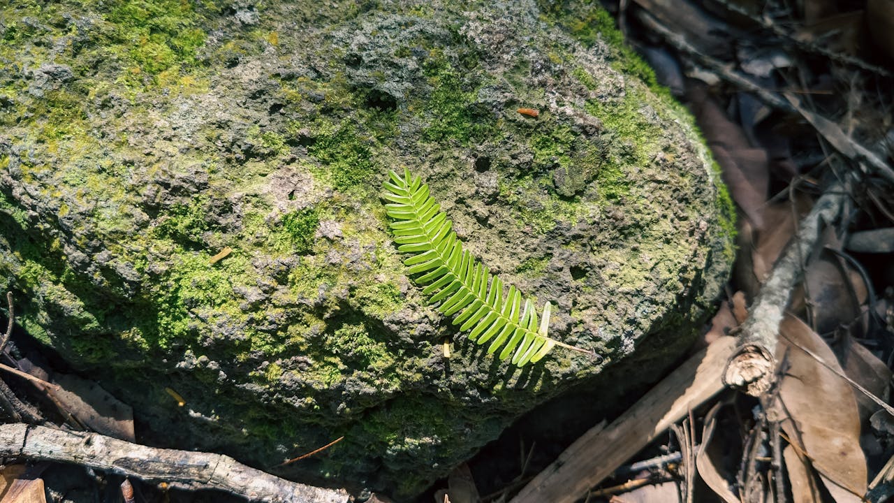 Cân bằng tinh thần và công việc cuối tuần