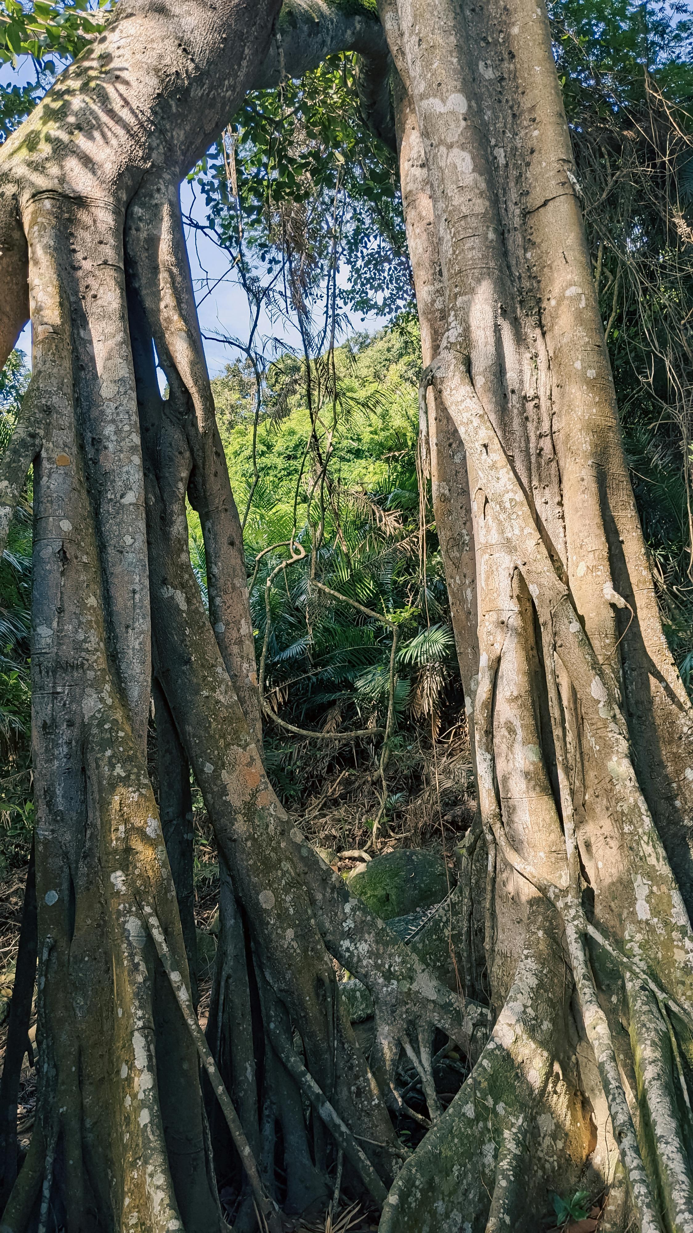 Trung tâm nghiên cứu văn học, phát triển nhà văn Việt Nam