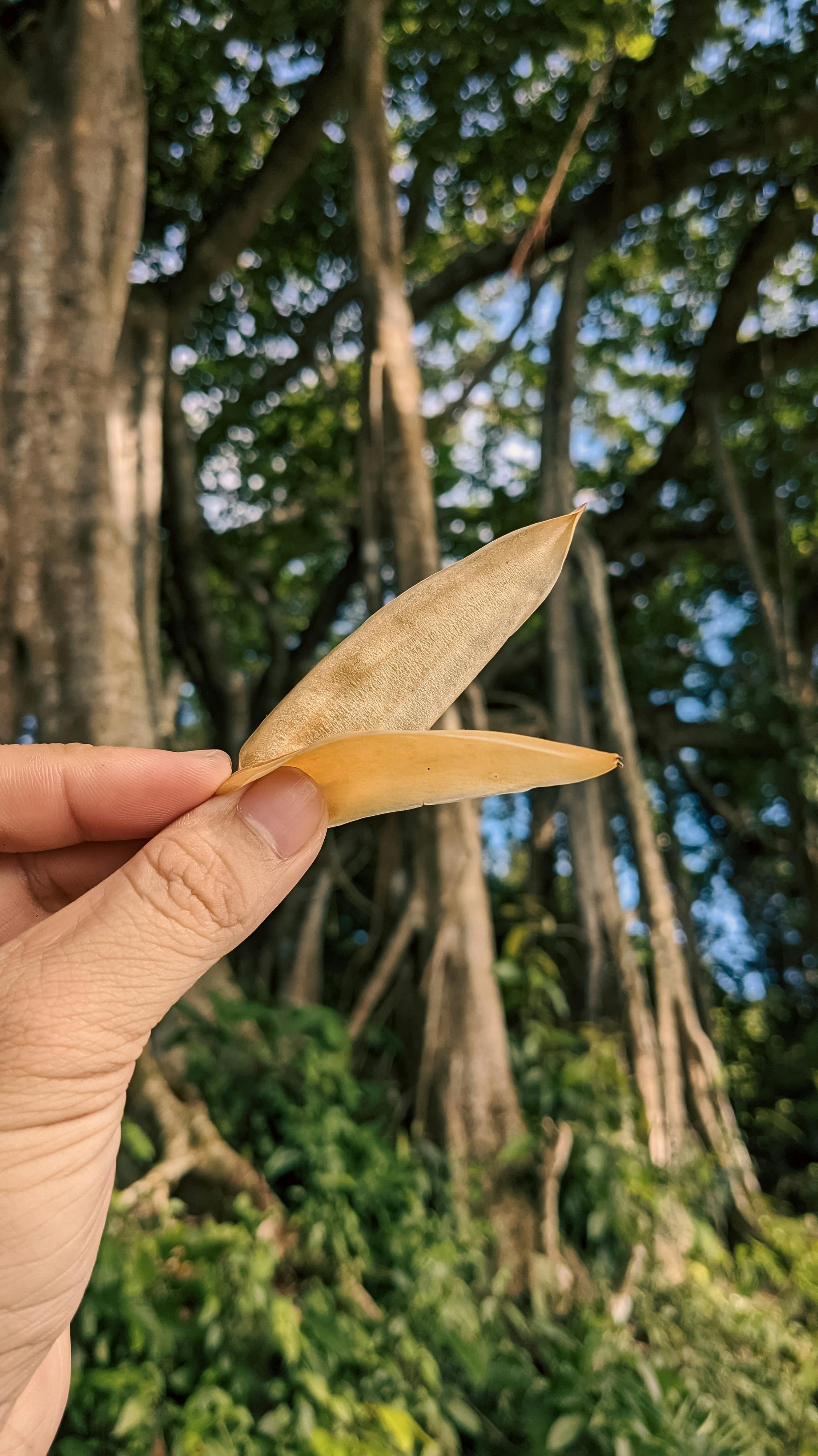 Trung tâm nghiên cứu văn học, phát triển nhà văn Việt Nam