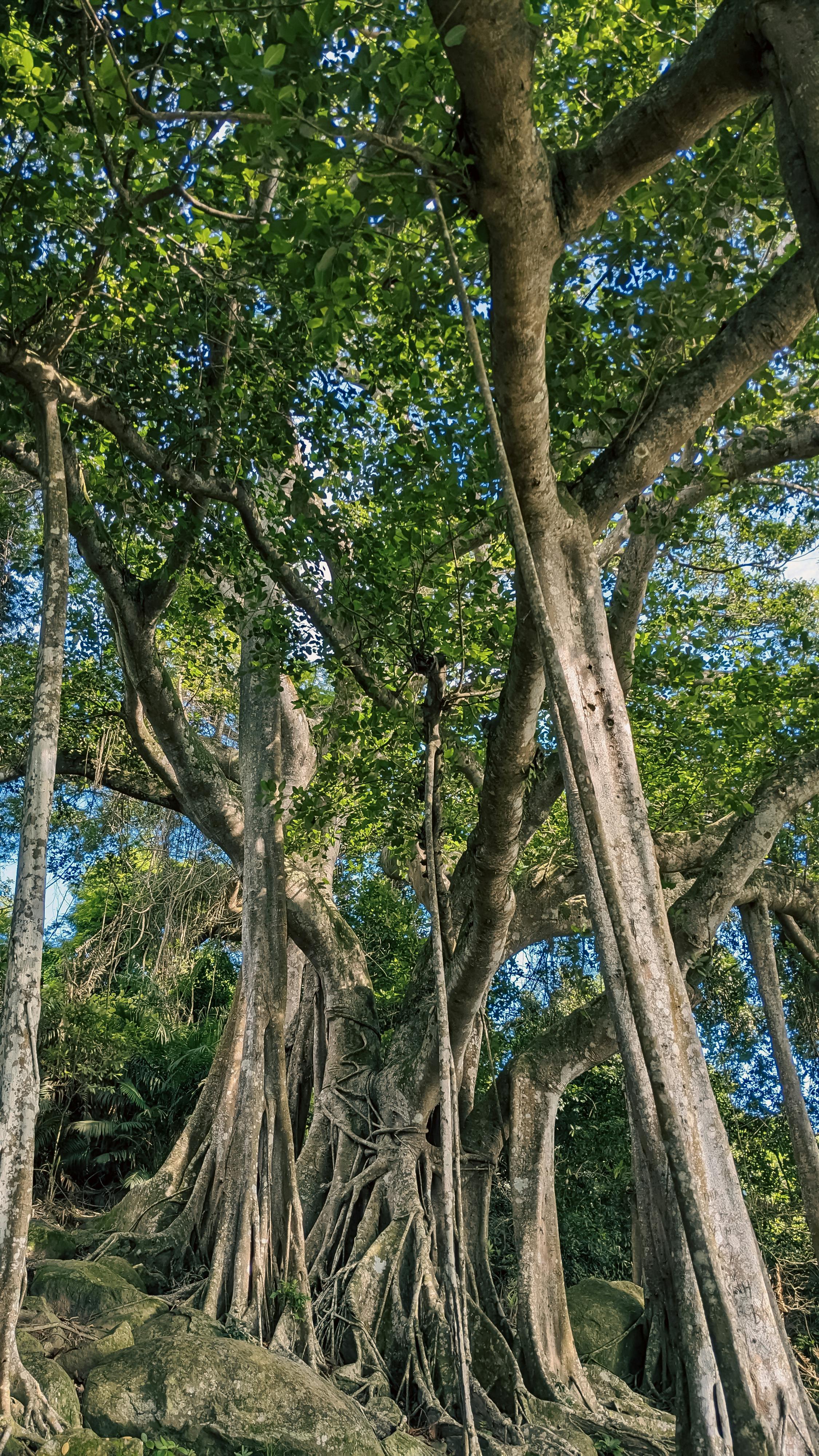 Trung tâm nghiên cứu văn học, phát triển nhà văn Việt Nam