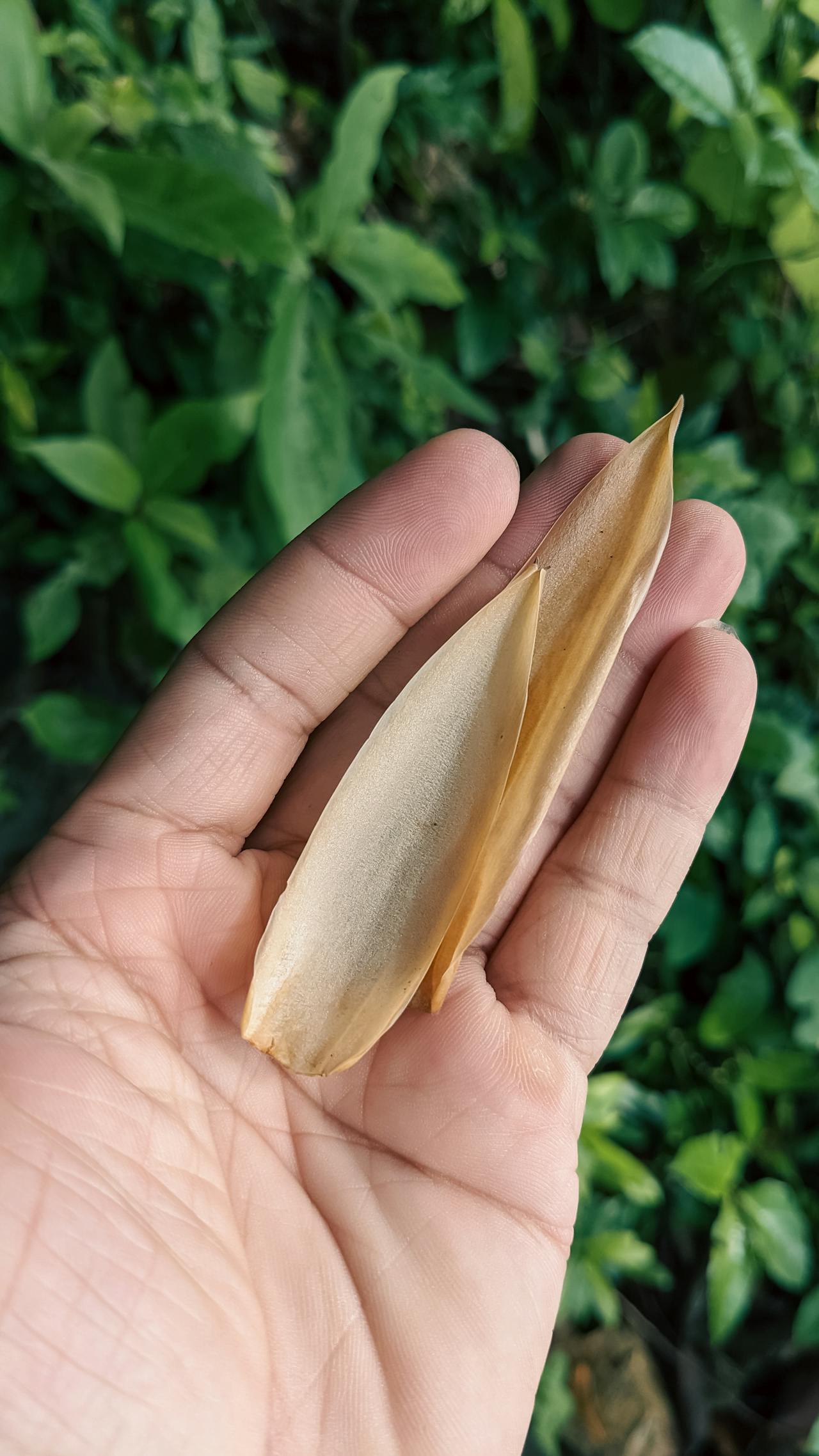 Thám tử lừng danh Conan | Chương 0241