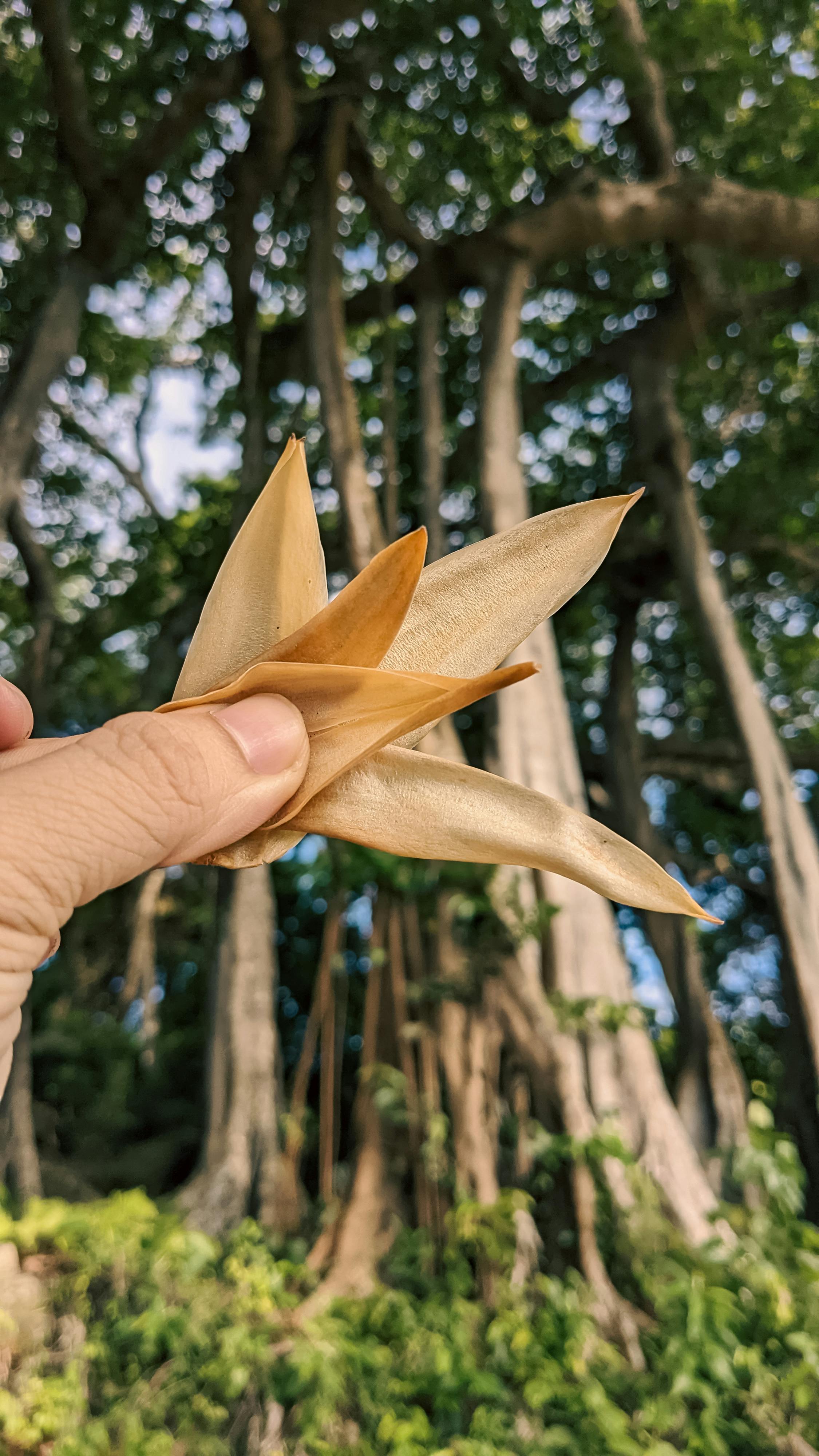 Danh sách theo thẻ conan, trang 9