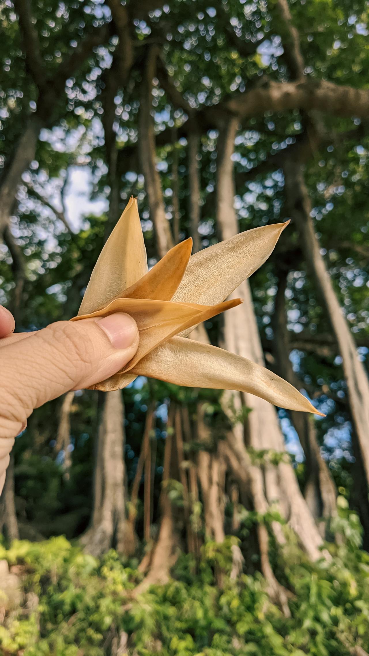 Ỷ thiên đồ long ký | Chương 41
