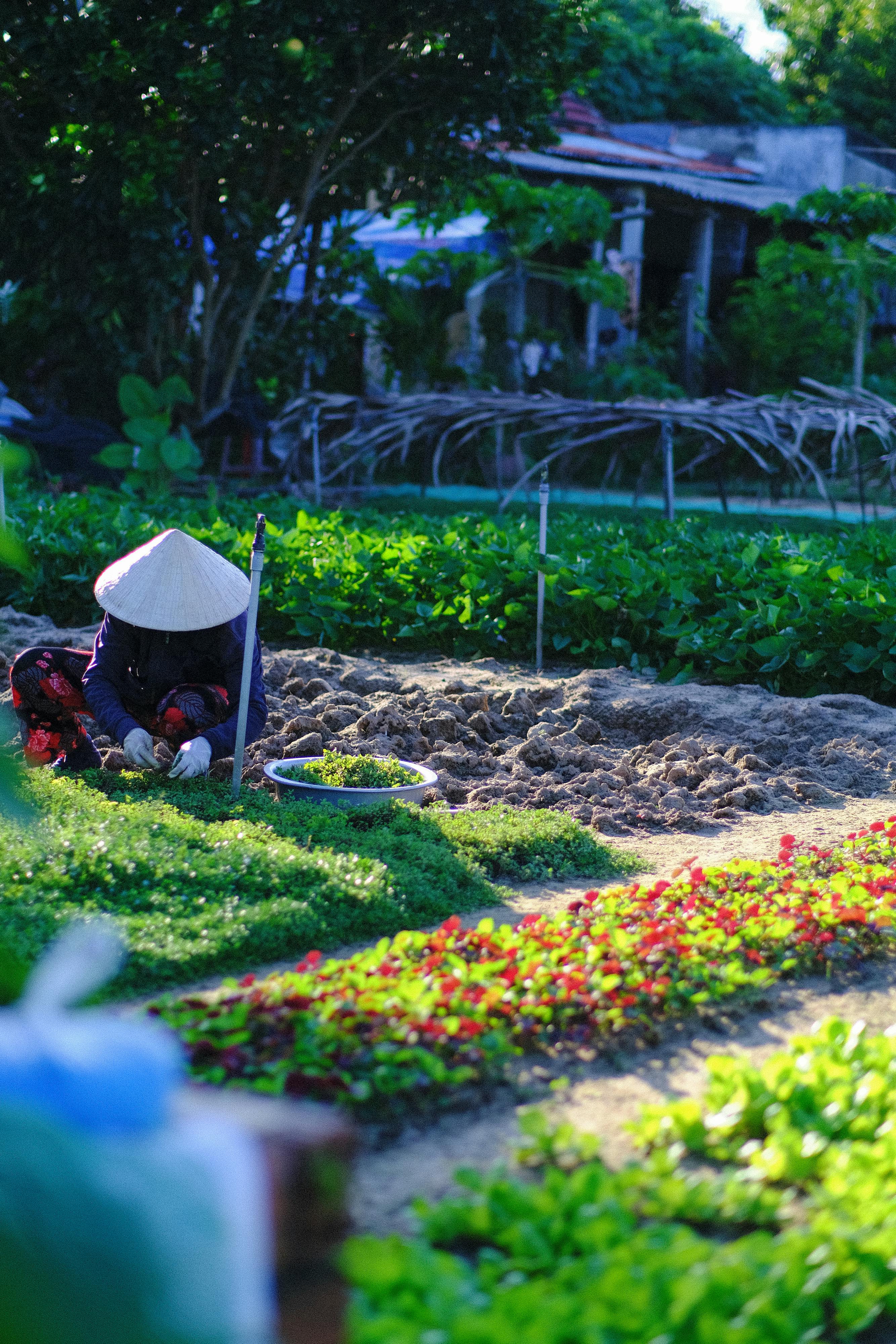 Trung tâm nghiên cứu văn học, phát triển nhà văn Việt Nam