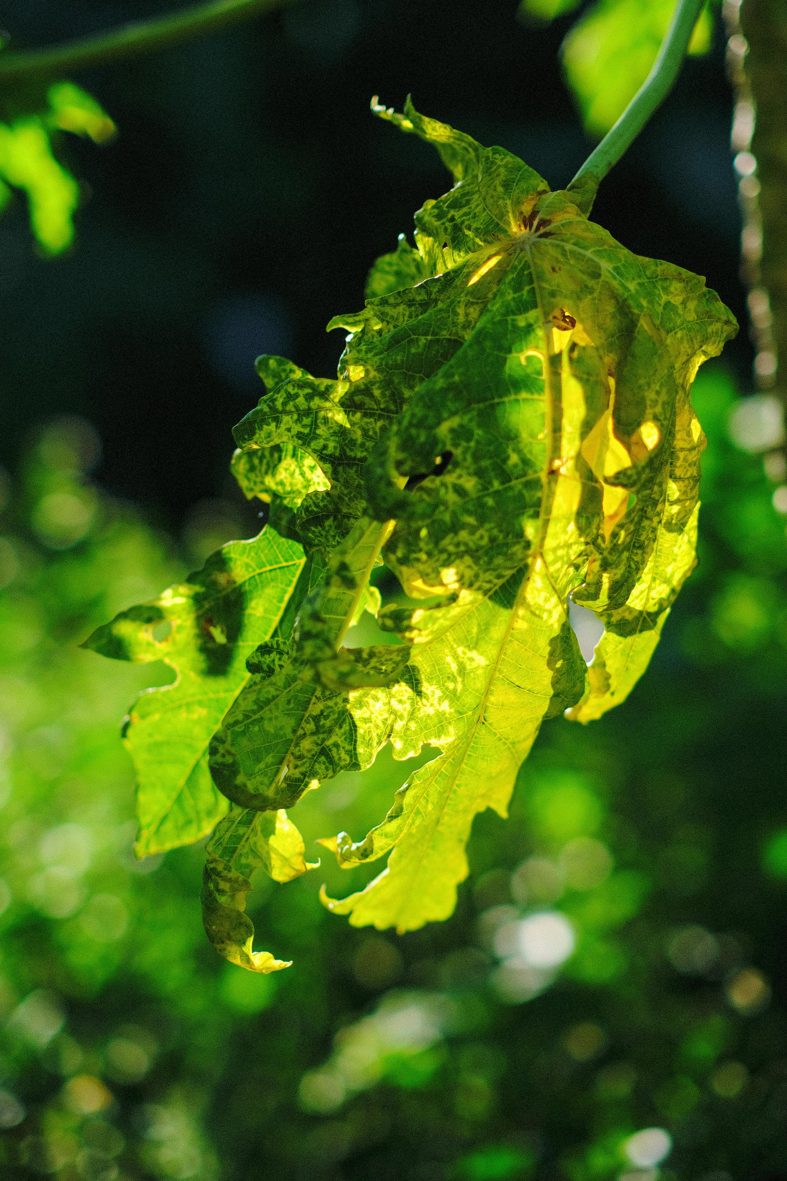 Thám tử lừng danh Conan | Chương 0765 360 – manga, gosho aoyama, case closed, tham tu lung danh conan, conan, detective conan, truyen tranh, trinh tham, pha an, trinh tham, kinh di, truyen conan, doc truyen conan, tham tu lung danh conan chuong 0765, tham tu lung danh conan 0765.