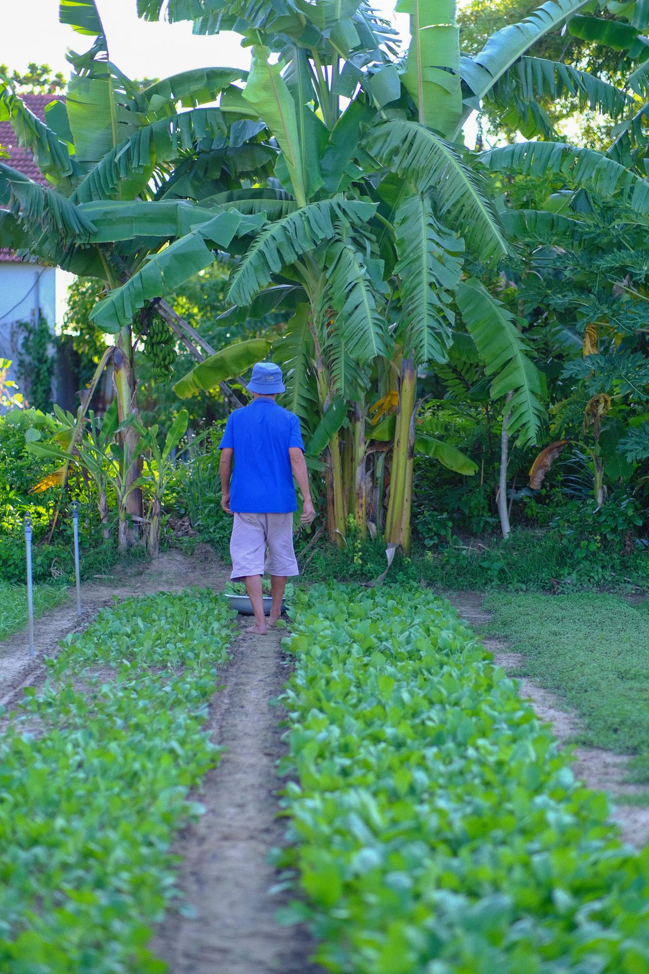 Người thầy của tỉnh thức và thương yêu | Chương 10