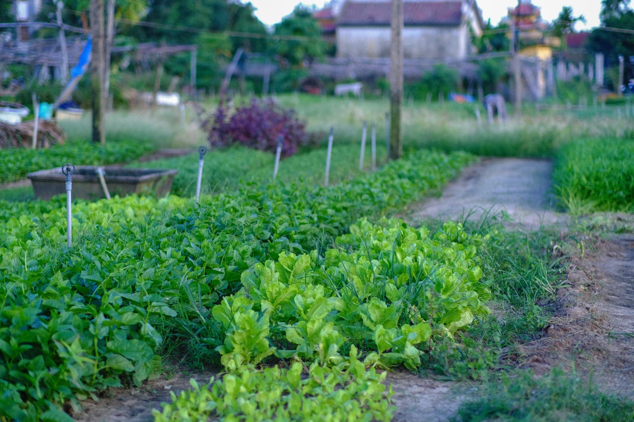 Thám tử lừng danh Conan | Chương 0515