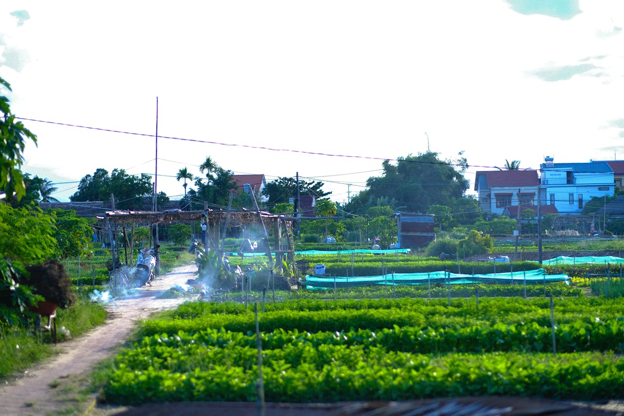 Nói với tuổi hai mươi | Chương 05