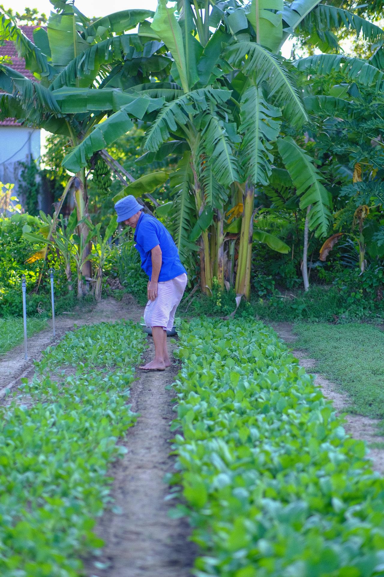Mặt trái OTA và cách thoát lệ thuộc bán phòng