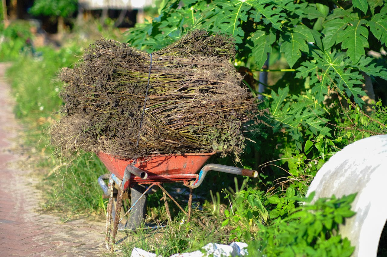 Cuộc săn lùng tàu tháng 10 đỏ | Chương 31