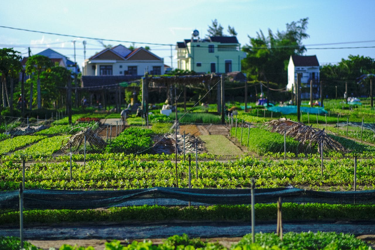 Giếng thở than | Chương 21