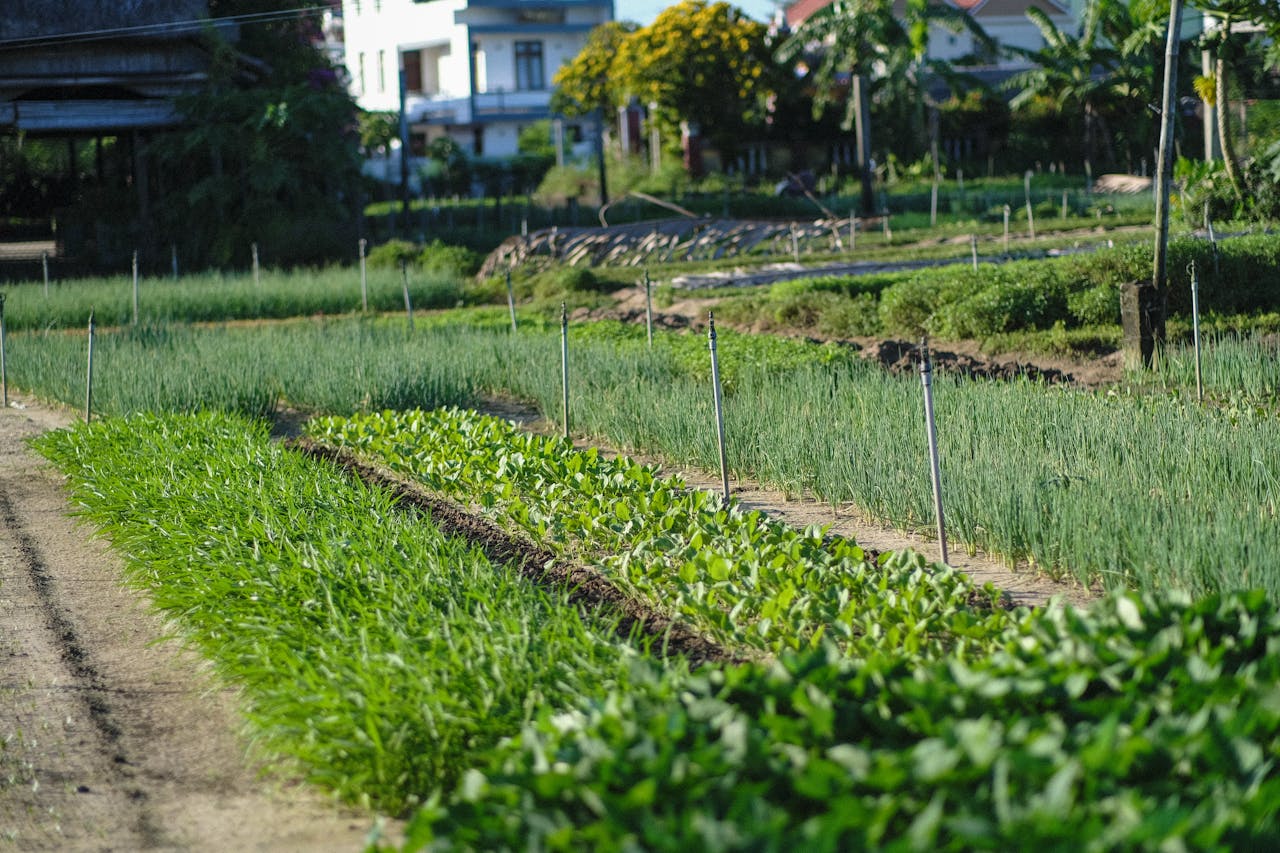 Thám tử lừng danh Conan | Chương 0330