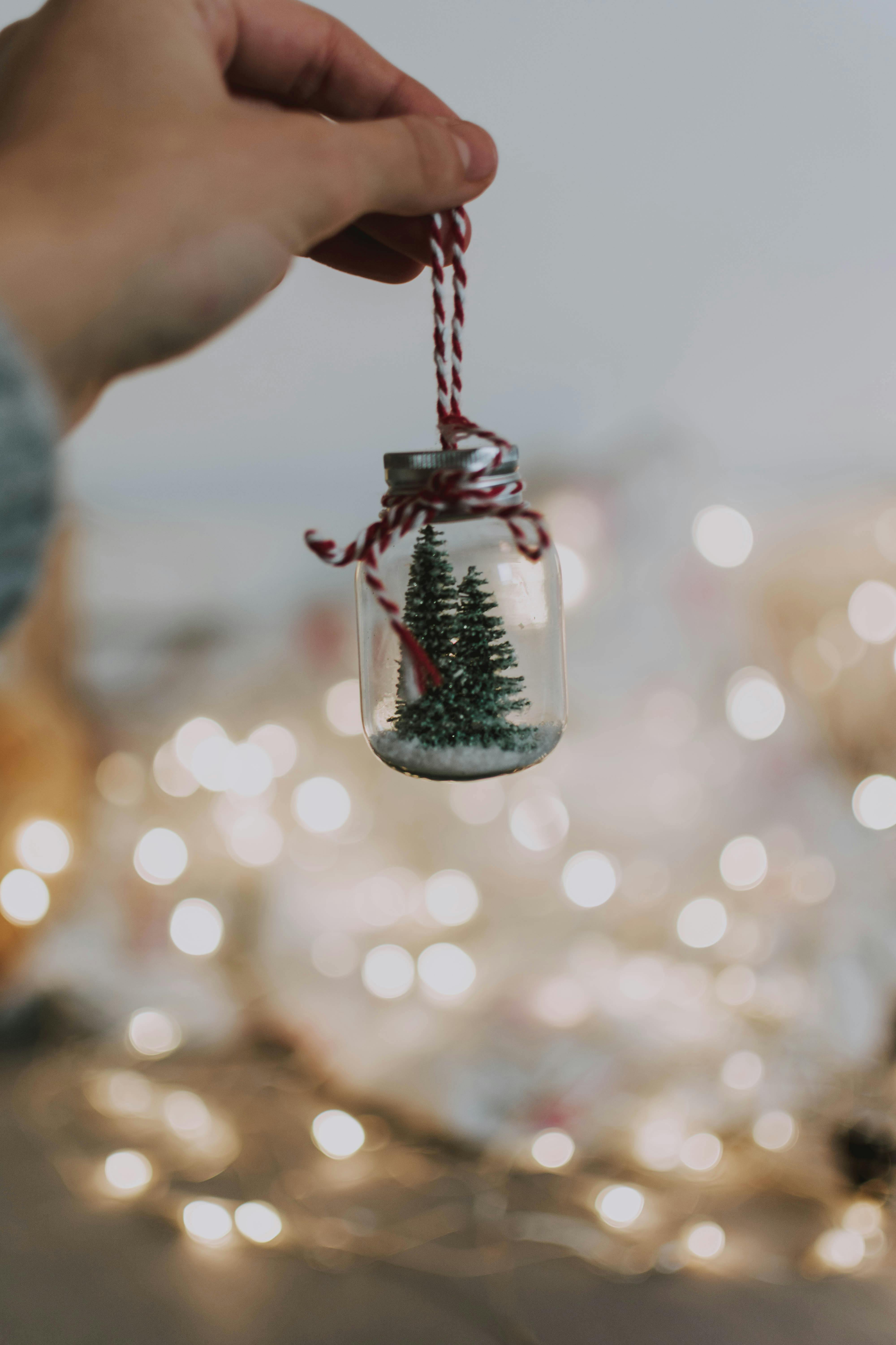 shallow focus photo of person s hand holding miniature pine trees in a glass jar
