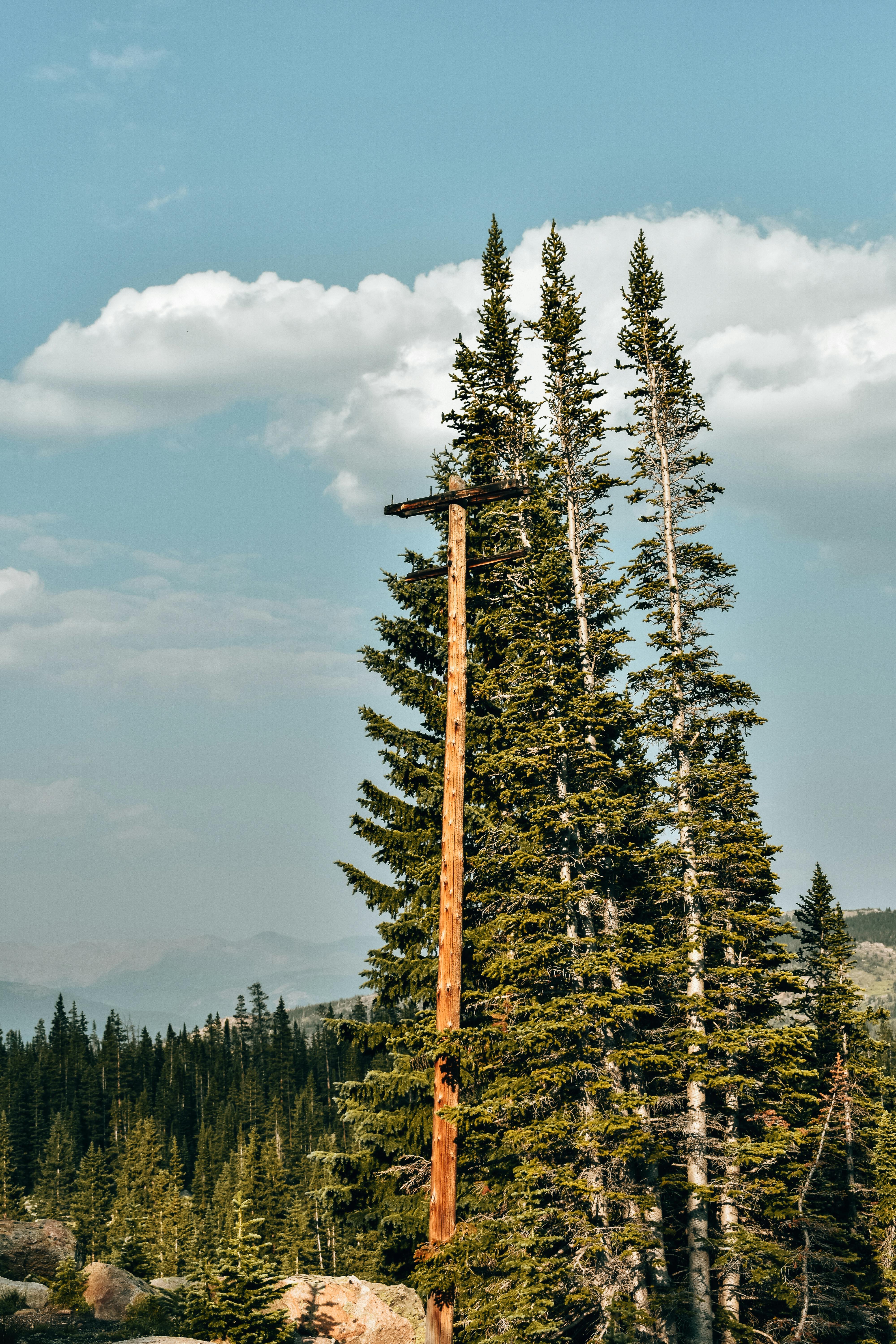 Sunrise over a Colorado mountain lake with a tent and pine trees