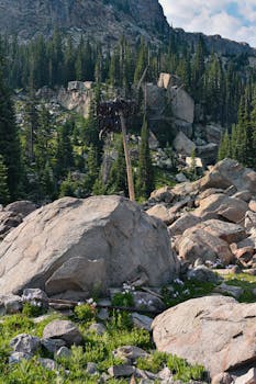 Explore the rugged beauty of a boulder field in Red Cliff, Colorado, amid lush greenery.