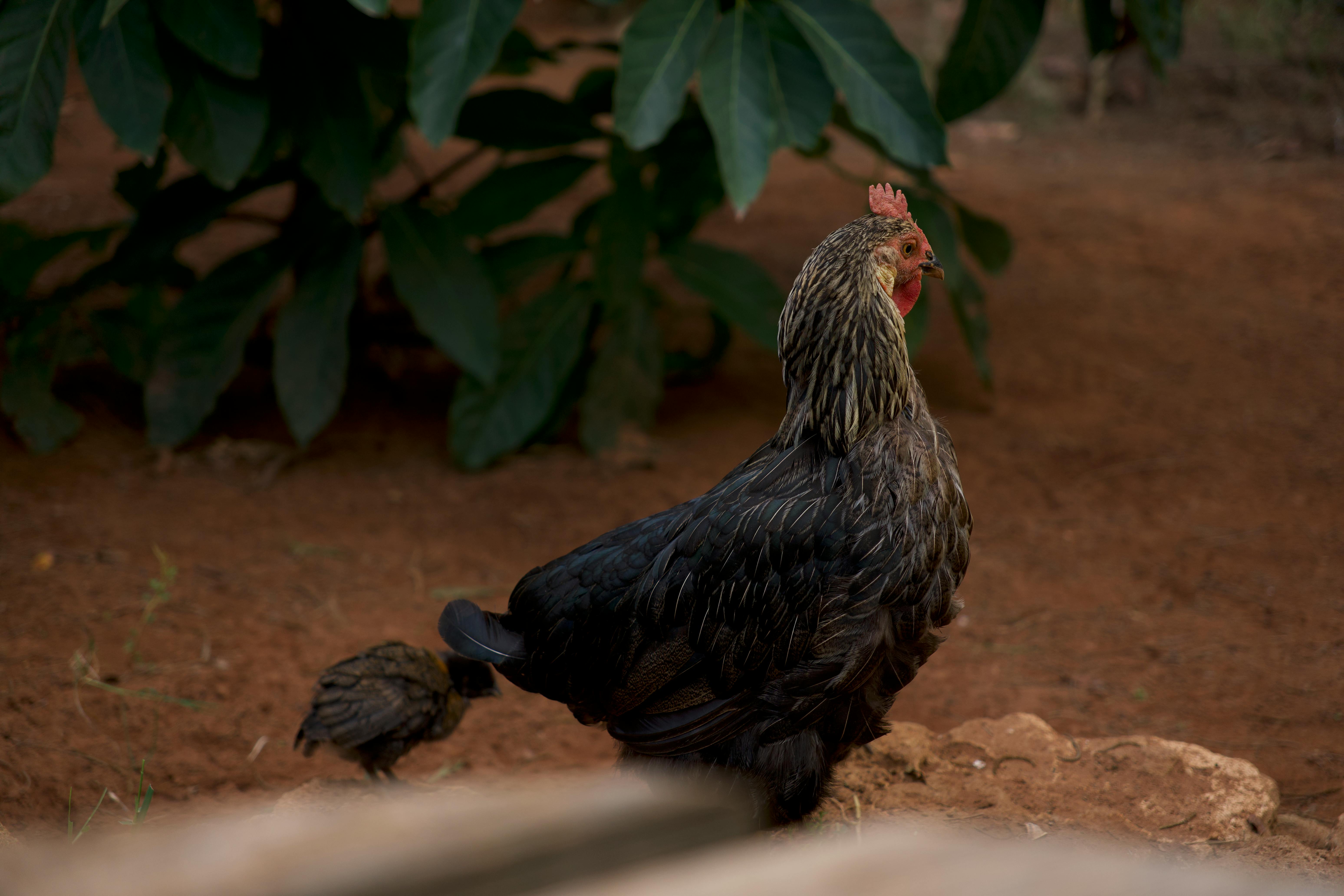 Understanding Consumer Behavior Insights for Better Business Strategies