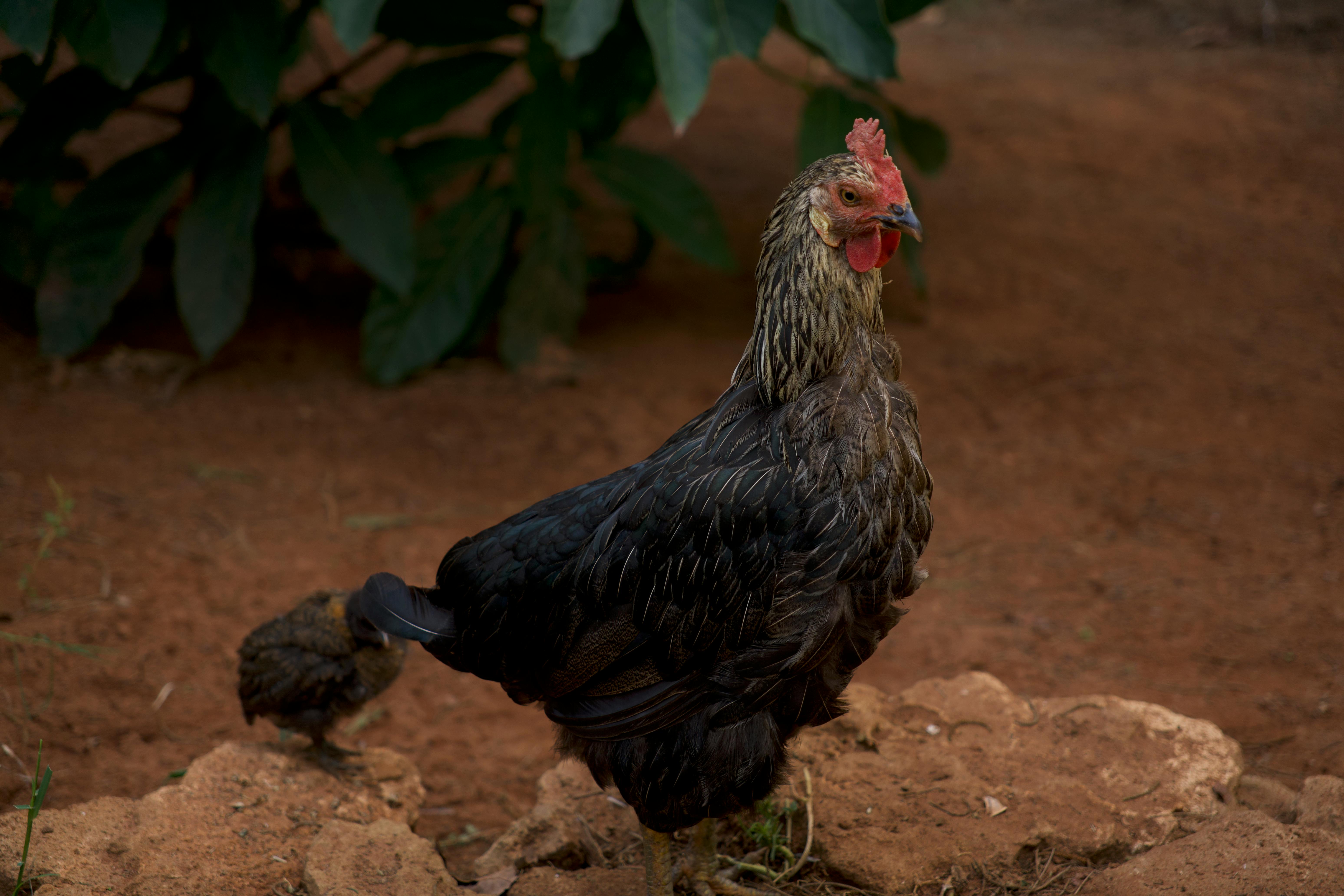 國際：業界能專計畫邀綠能業者參加台灣智慧能源週與淨零永續展