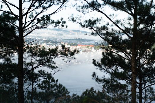 Scenic view of a foggy town through pine trees, capturing nature's serene morning beauty.