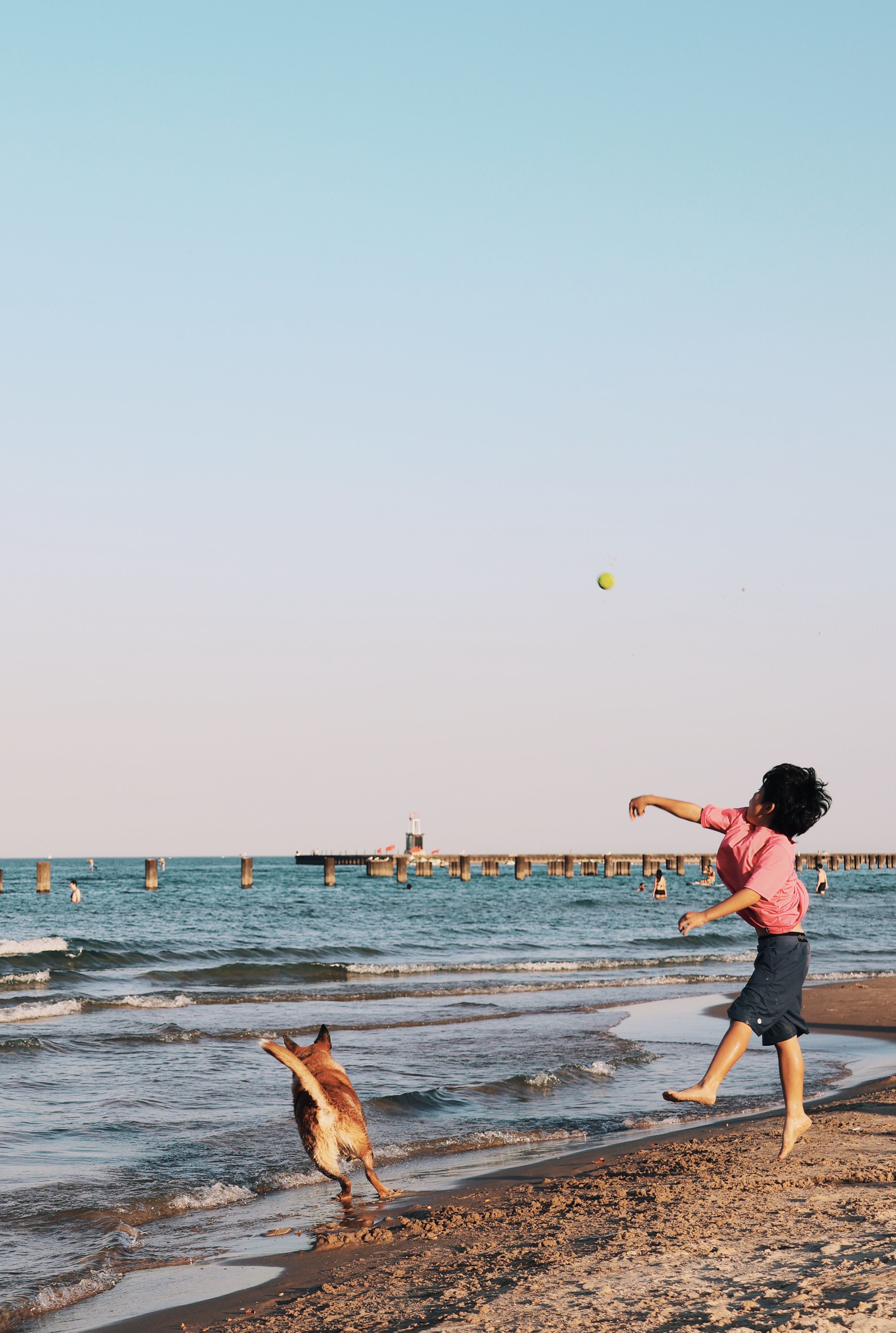 Kids Beach Playing