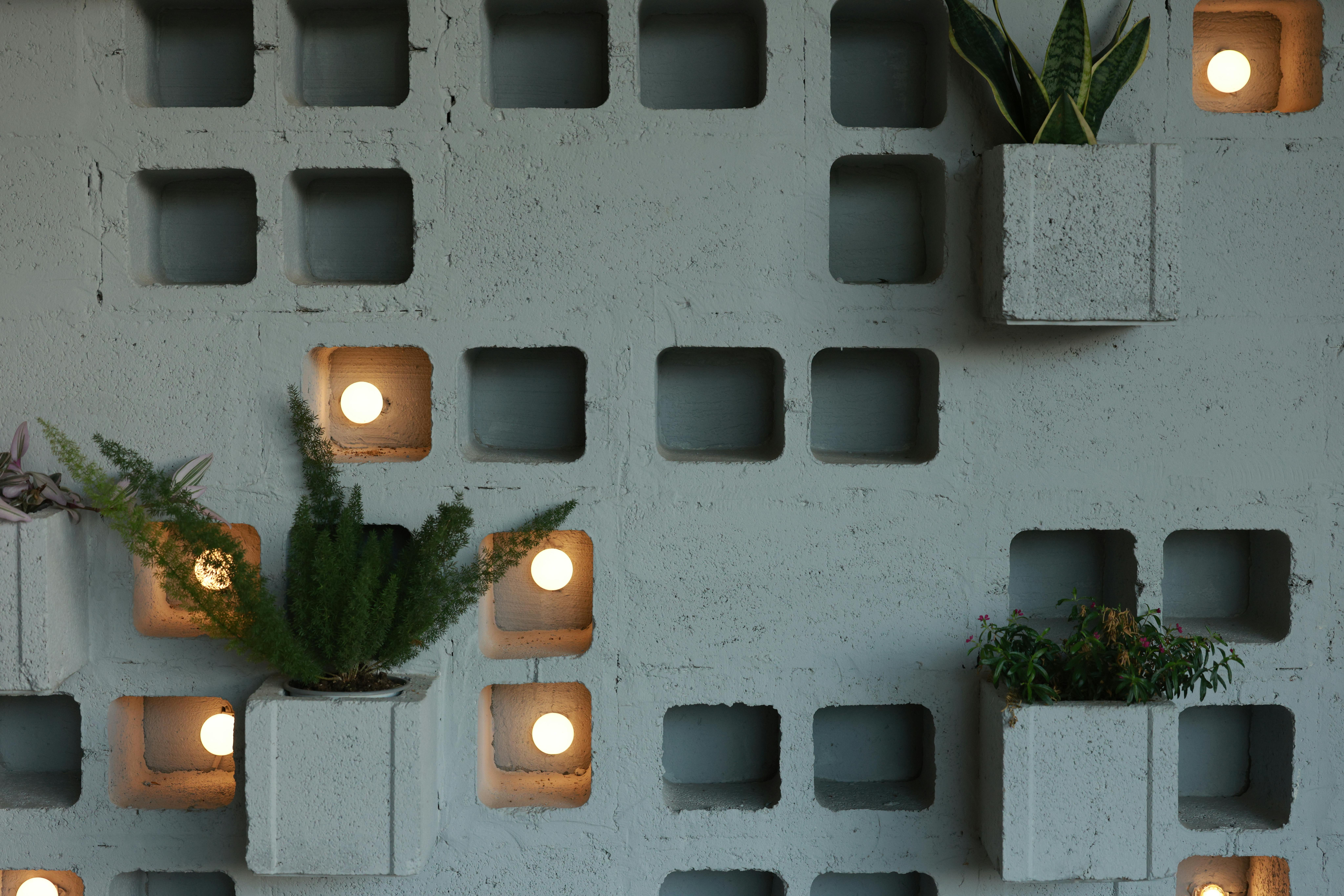 Surprising Benefits of Urban Gardening