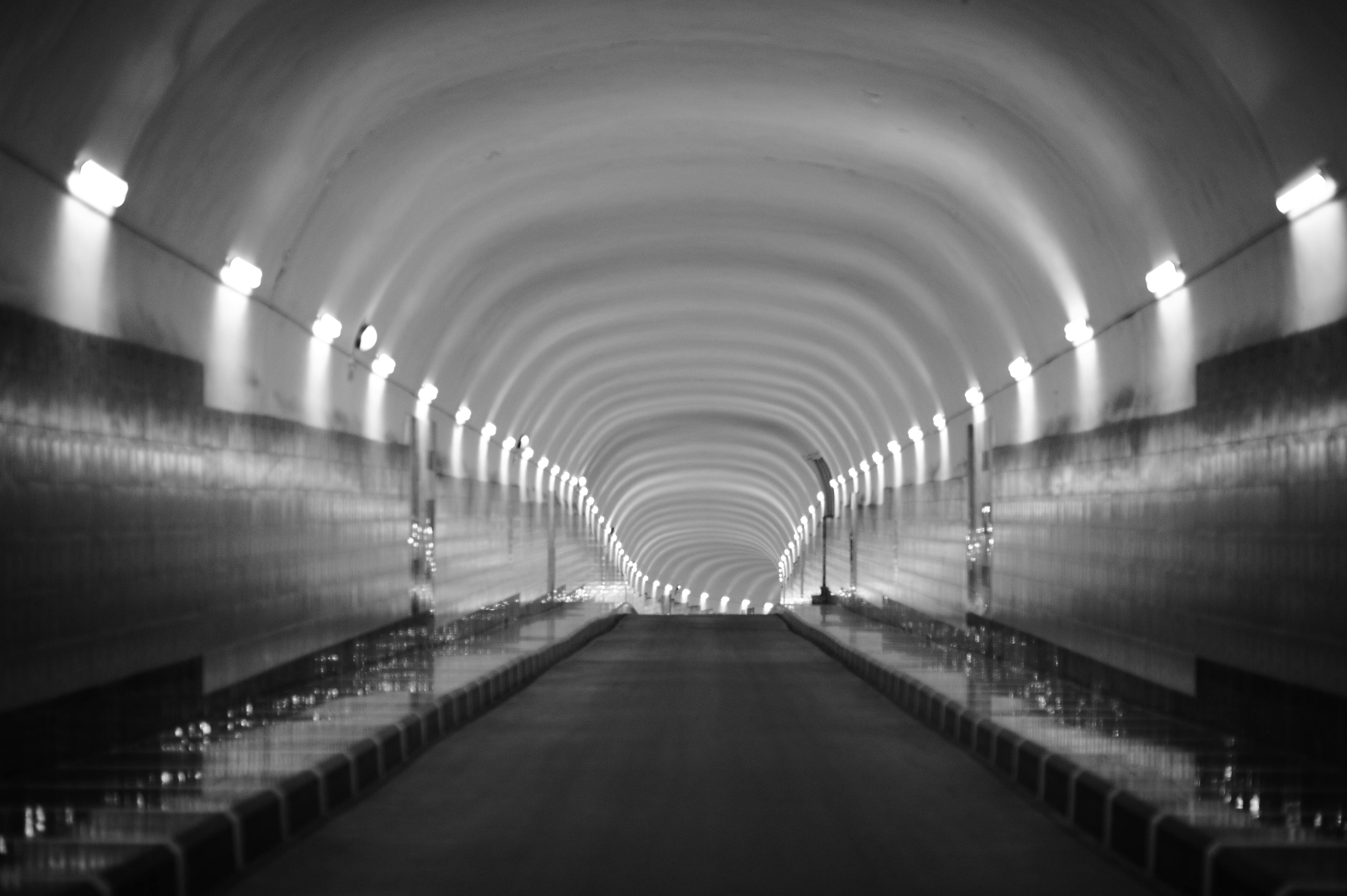 資訊科技躍升上週全球與美國最熱門投資領域，金源深度剖析市場熱