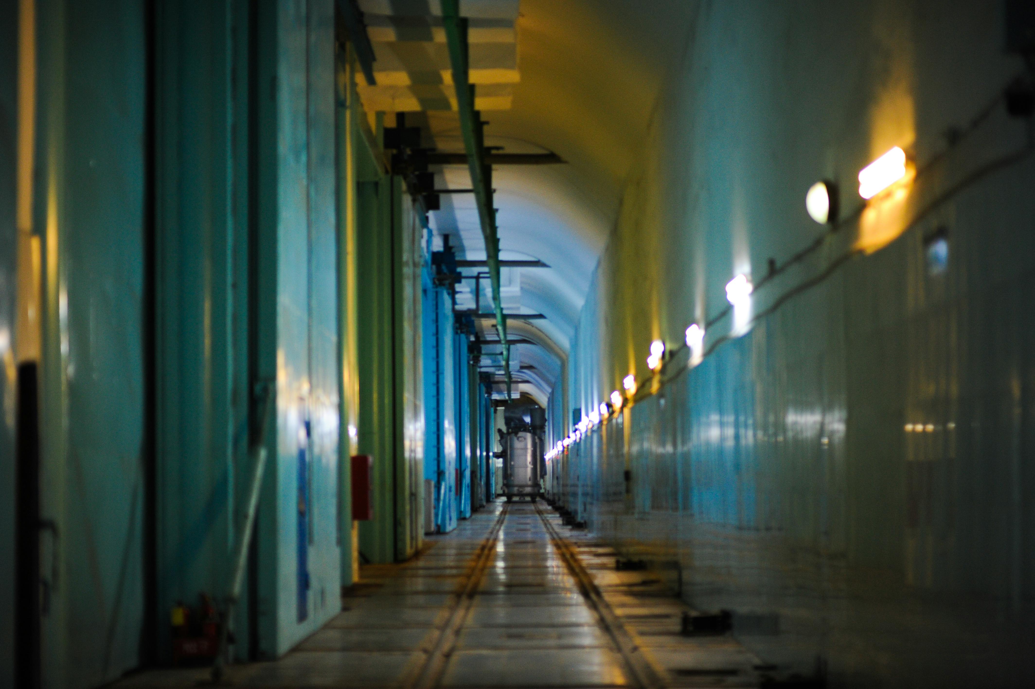 資訊科技躍升上週全球與美國最熱門投資領域，金源深度剖析市場熱