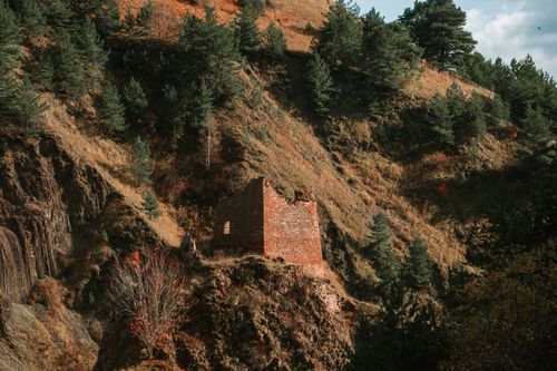 Free Ancient brick ruins surrounded by lush green pine trees on an autumn hillside. Stock Photo