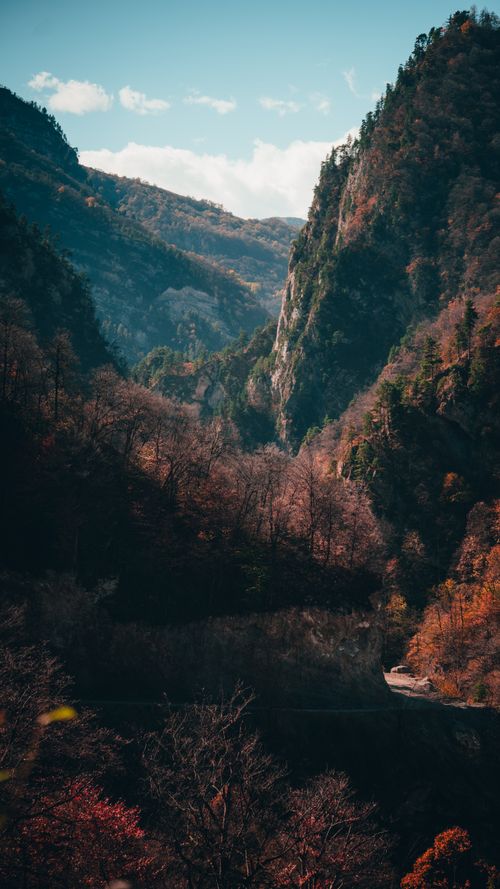 Free Breathtaking view of mountains covered in vibrant autumn foliage under a clear blue sky. Stock Photo