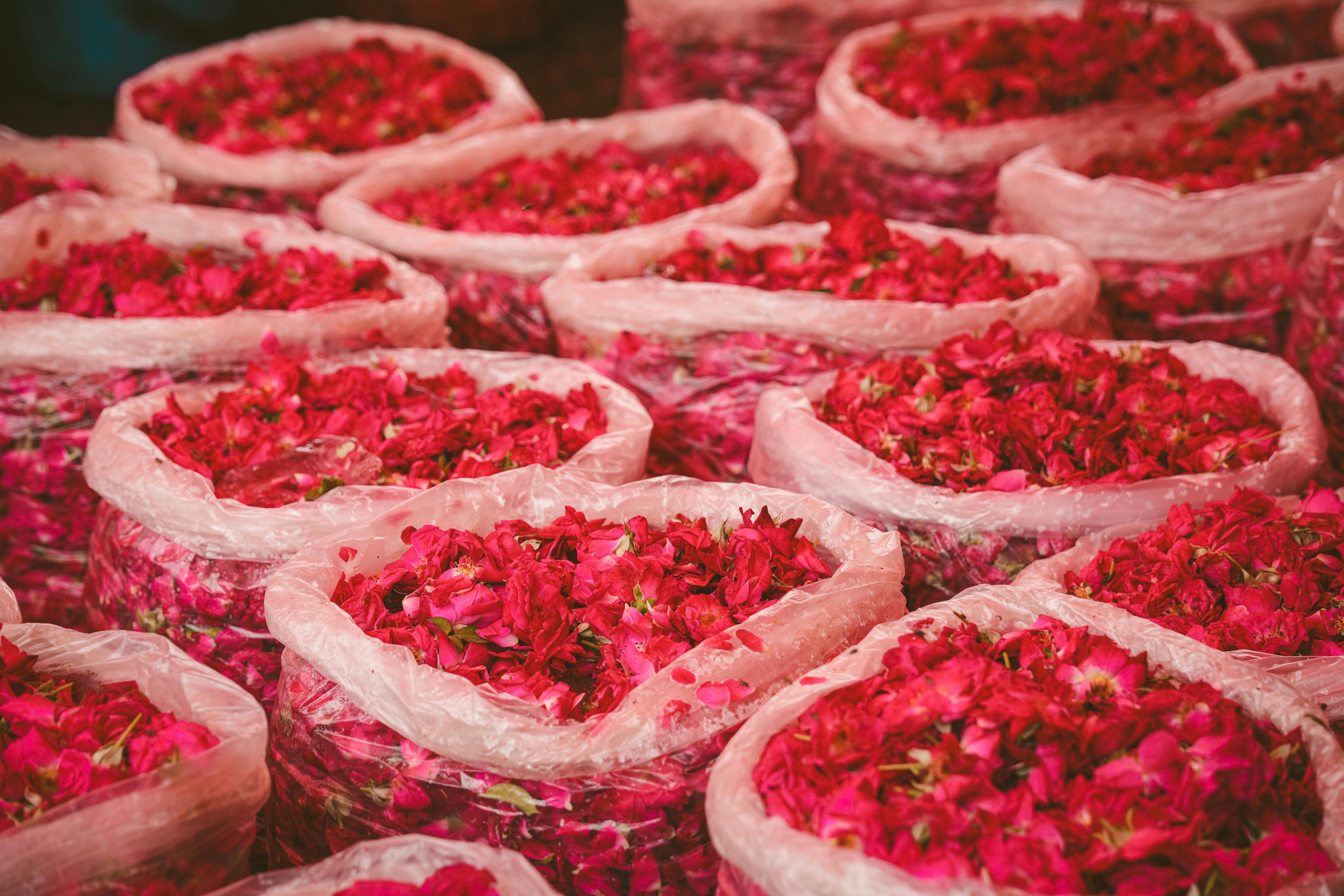 Decision Making Under Uncertainty: Maximin and Maximax Strategies