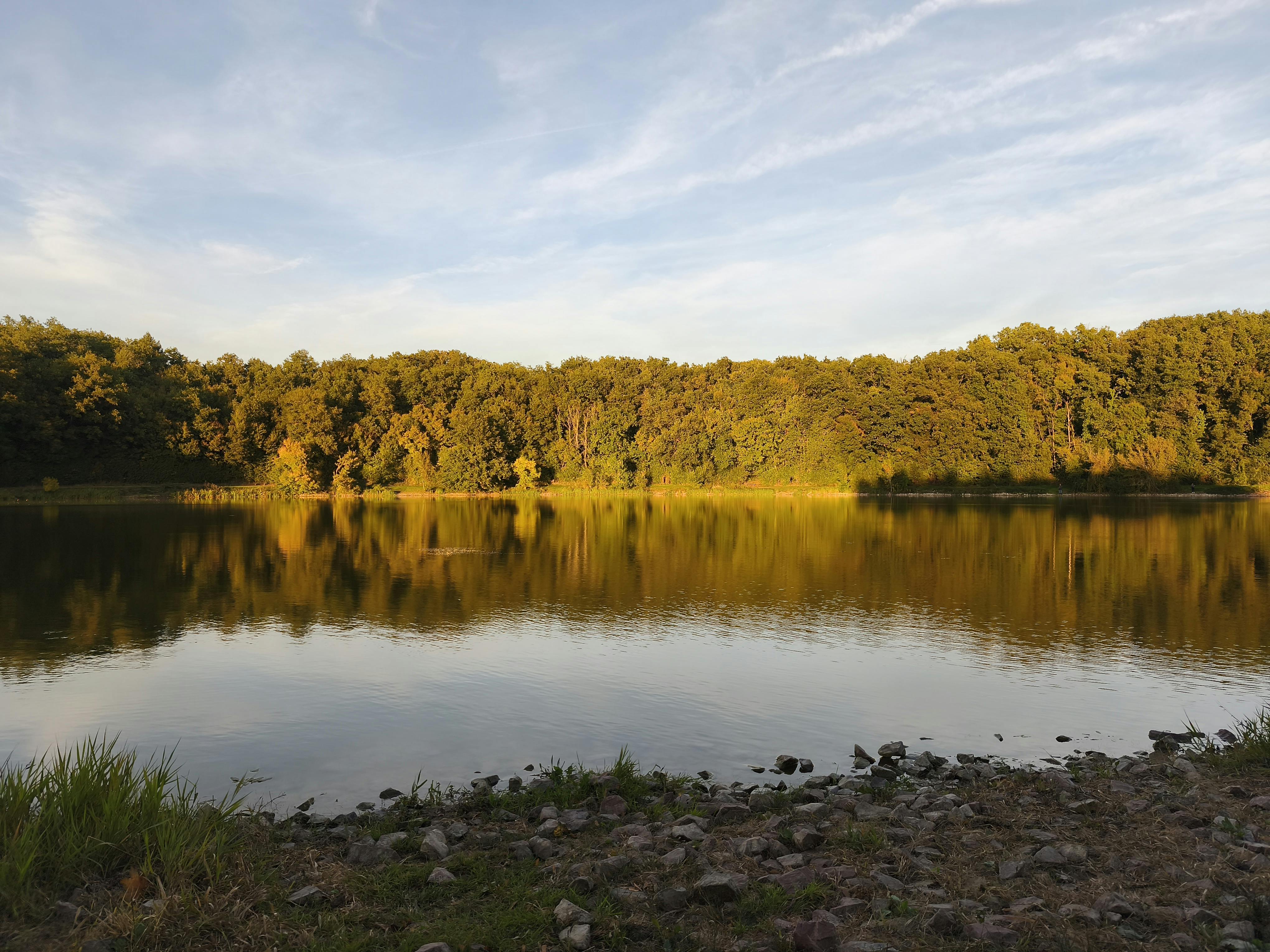 DuPage Forest Preserve executive director leaving for city manager job in Florida — Photo by Geraldine Geraldine on Pexels