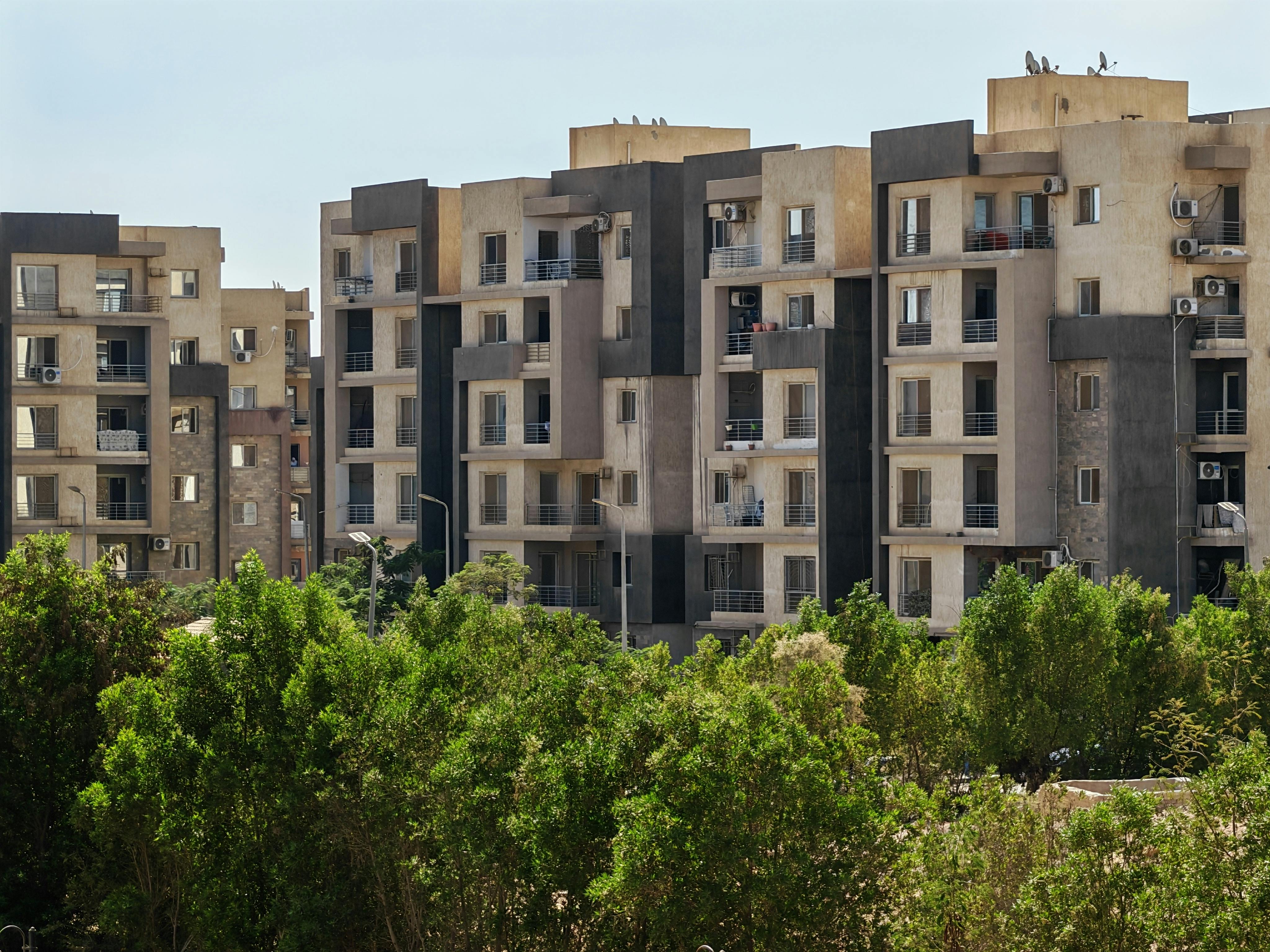 Explore factors influencing residents' green lifestyle: evidence from the Chinese General Social Survey data — Photo by Mahmo