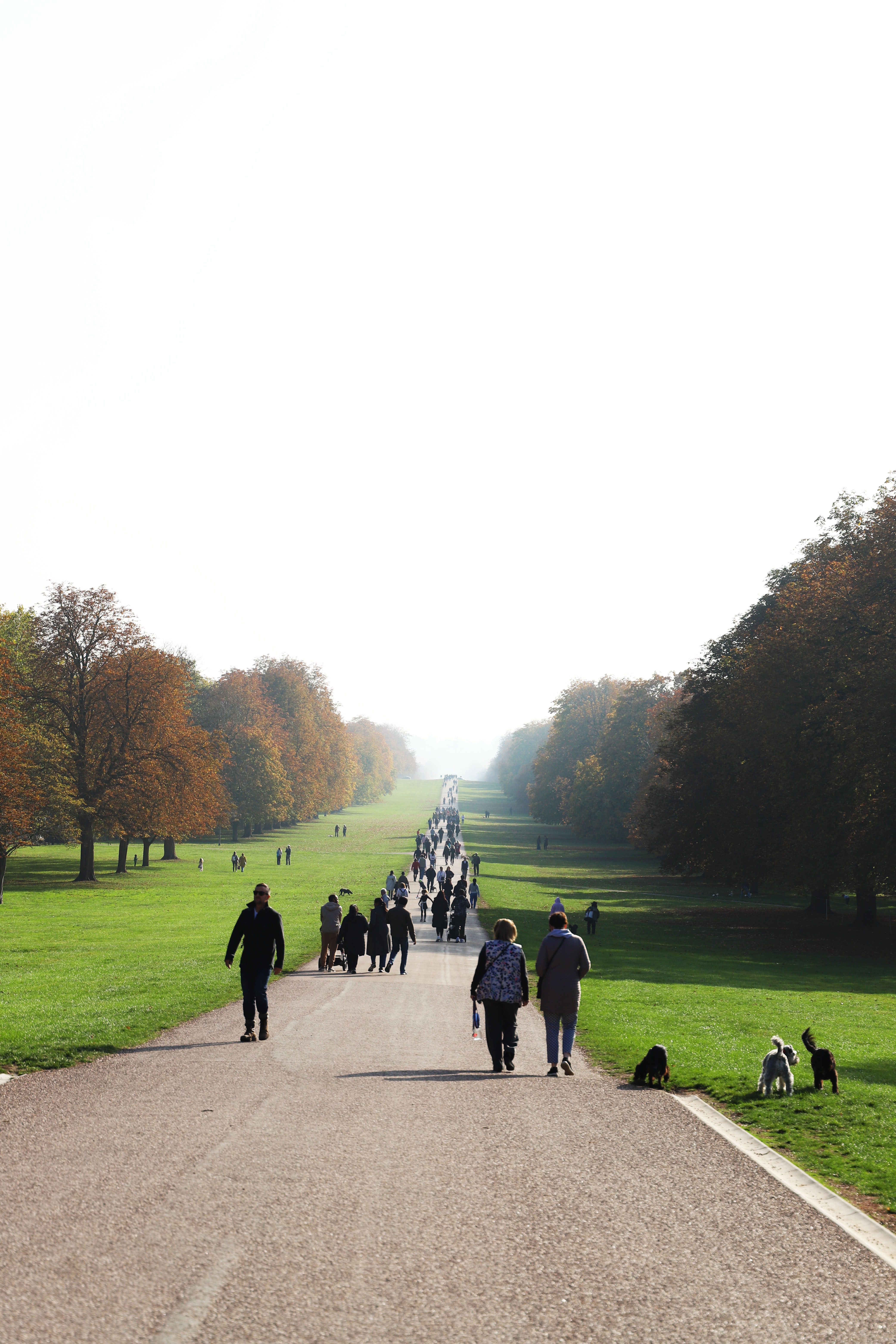 A lively scene of people strolling in a park with lush greenery and blue sky.