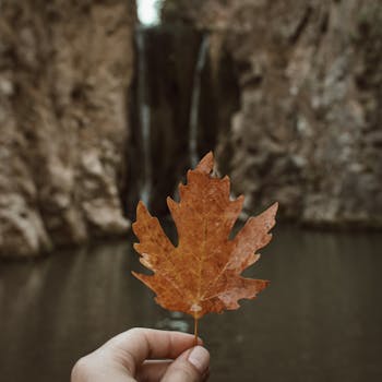 Hand holding an autumn leaf in front of a serene waterfall. Fall vibes.