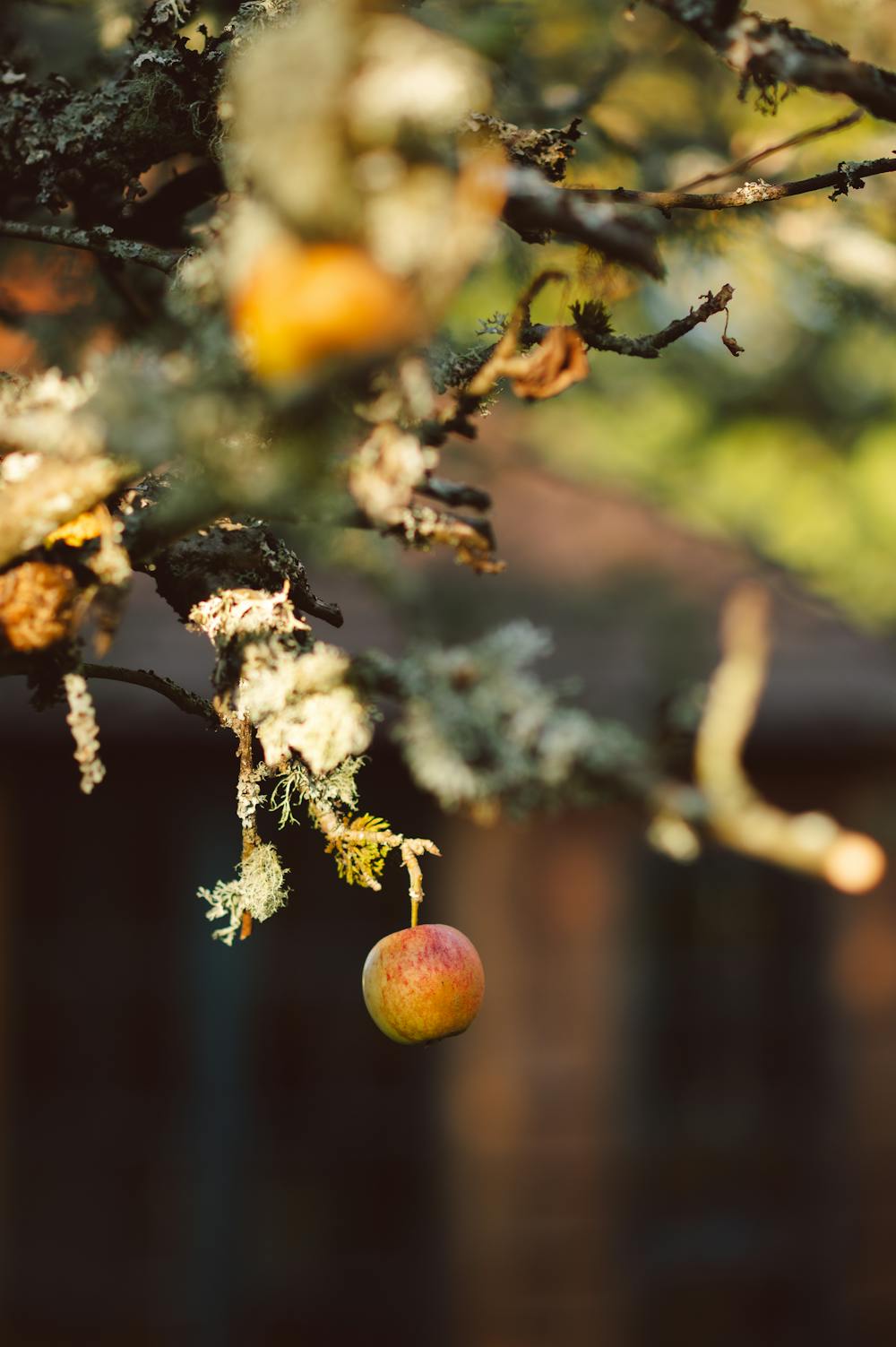 Ghoulish Green Apple Slime
