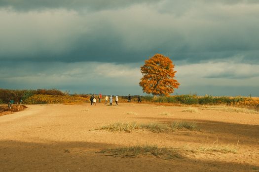 A group of people in a fall landscape with a solitary tree.
