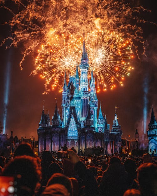 How large is Disney world in miles
