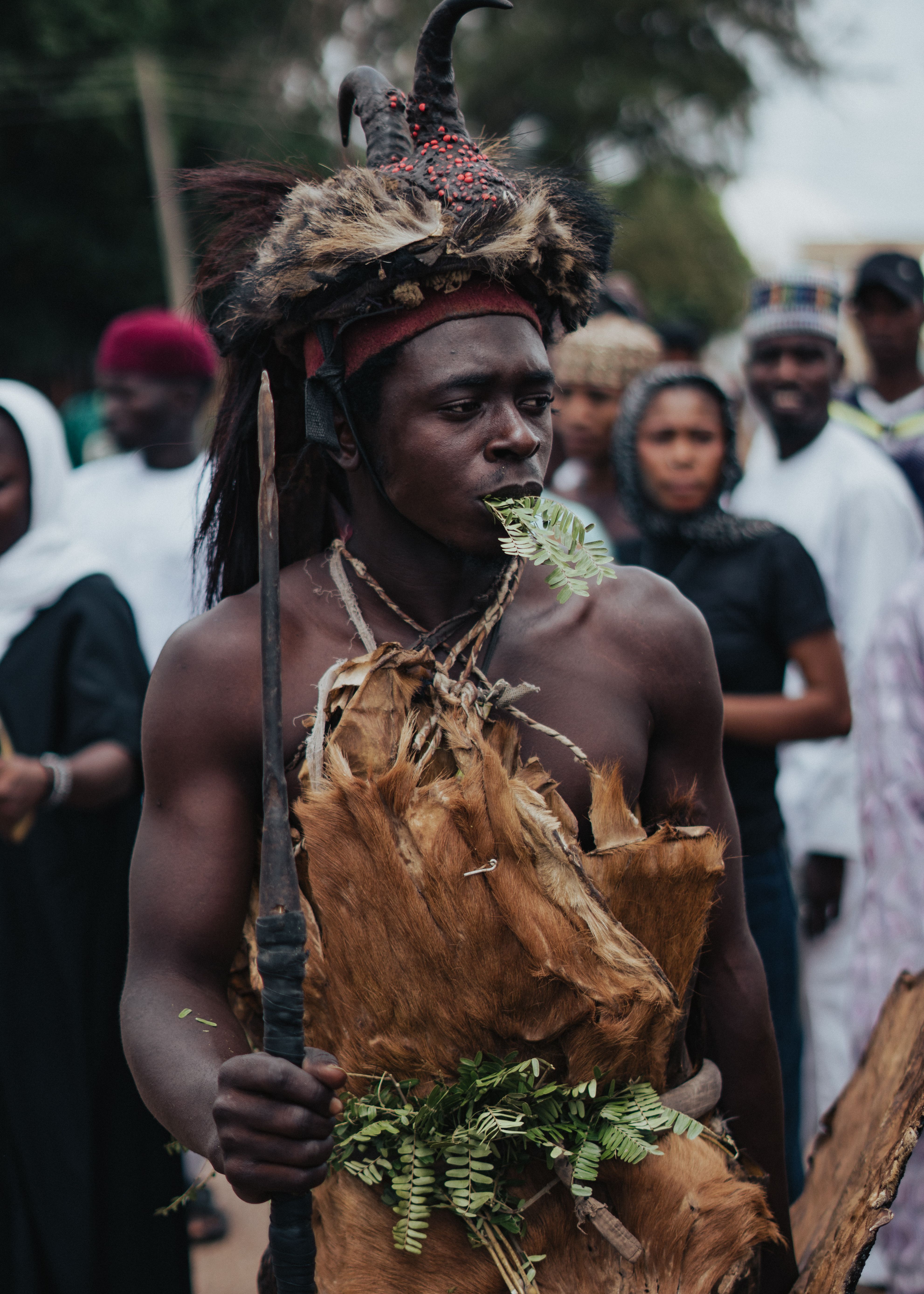 Traditional Nigerian Cultural Festival Celebration · Free Stock Photo